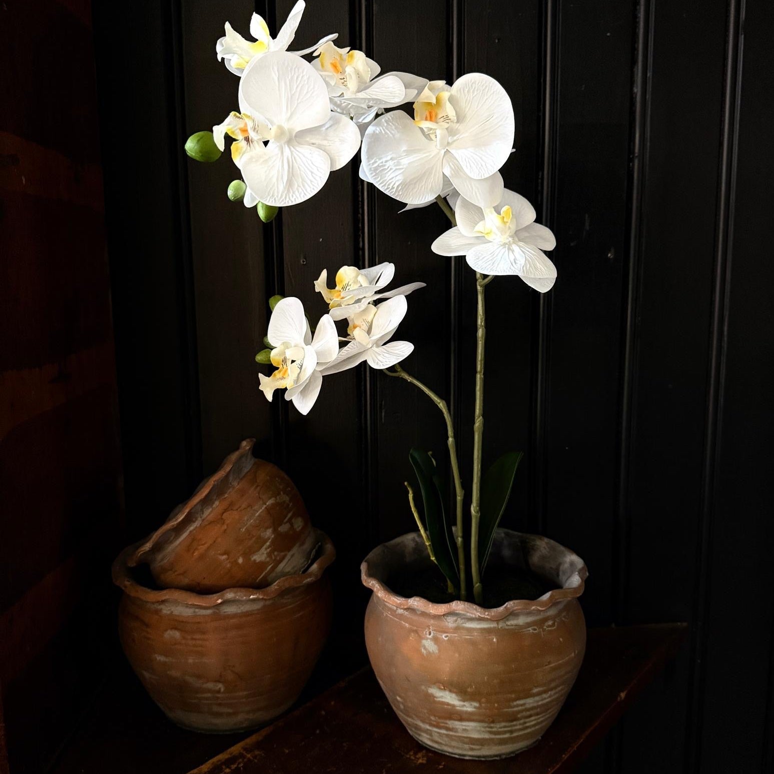 Artificial Orchid in Pot