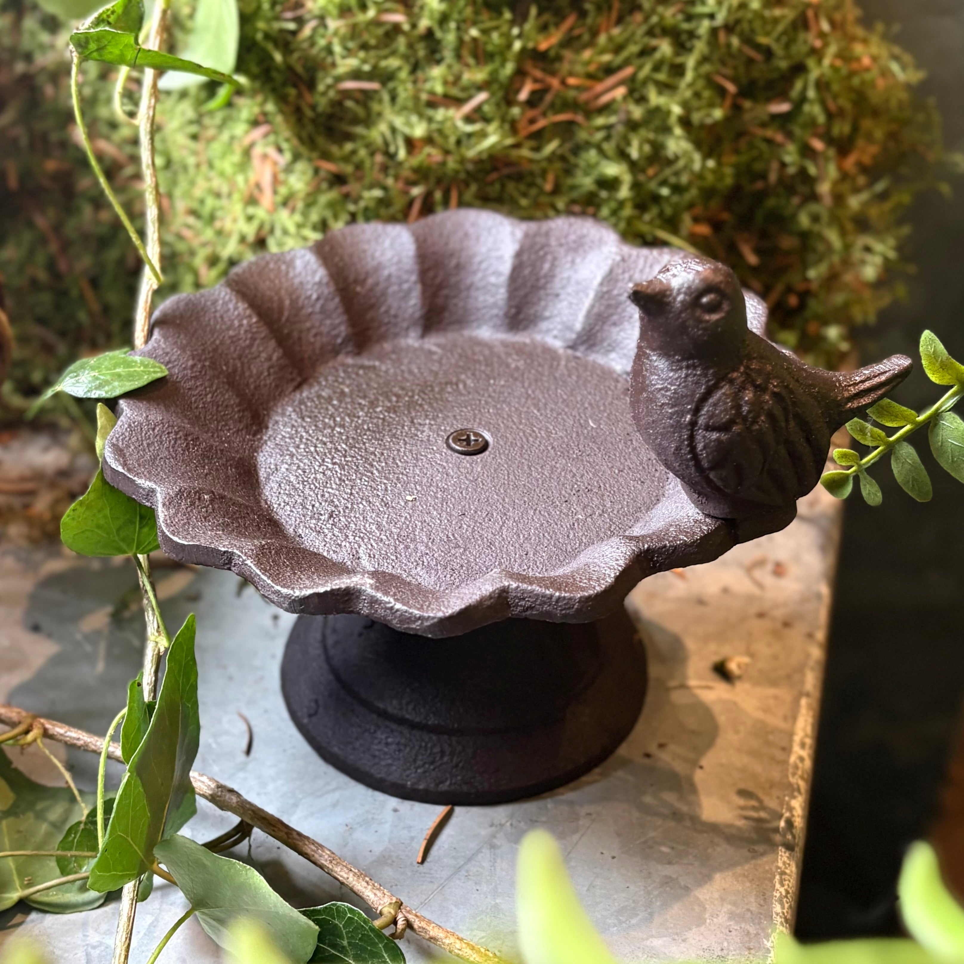Decorative Iron Bird Bath/ Feeder