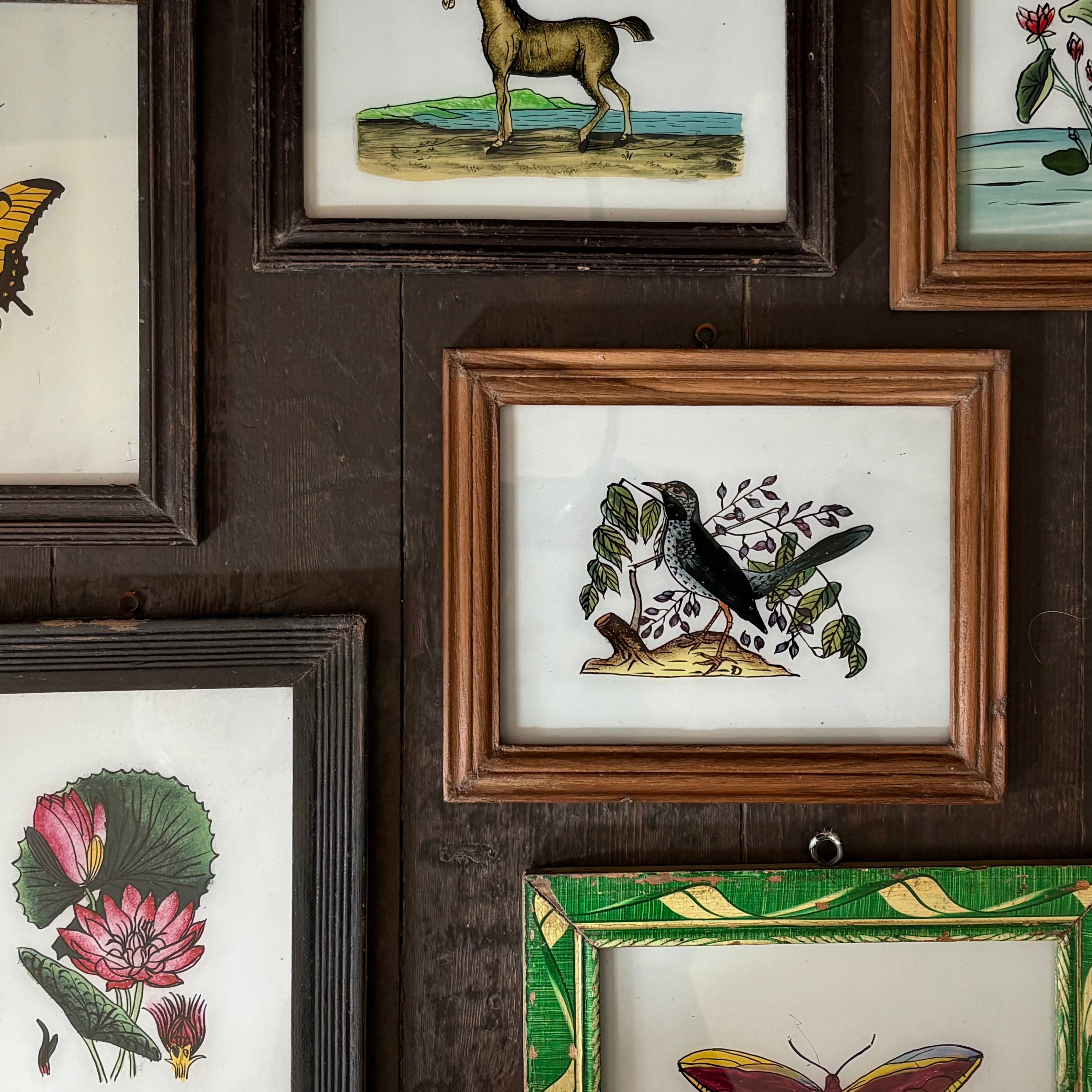 Indian Glass Paintings - Medium