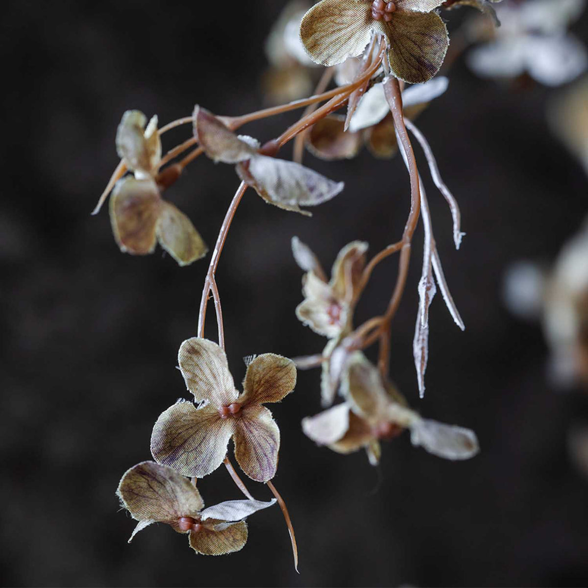 ARTIFICIAL HIBERNAL BLOSSOM stem