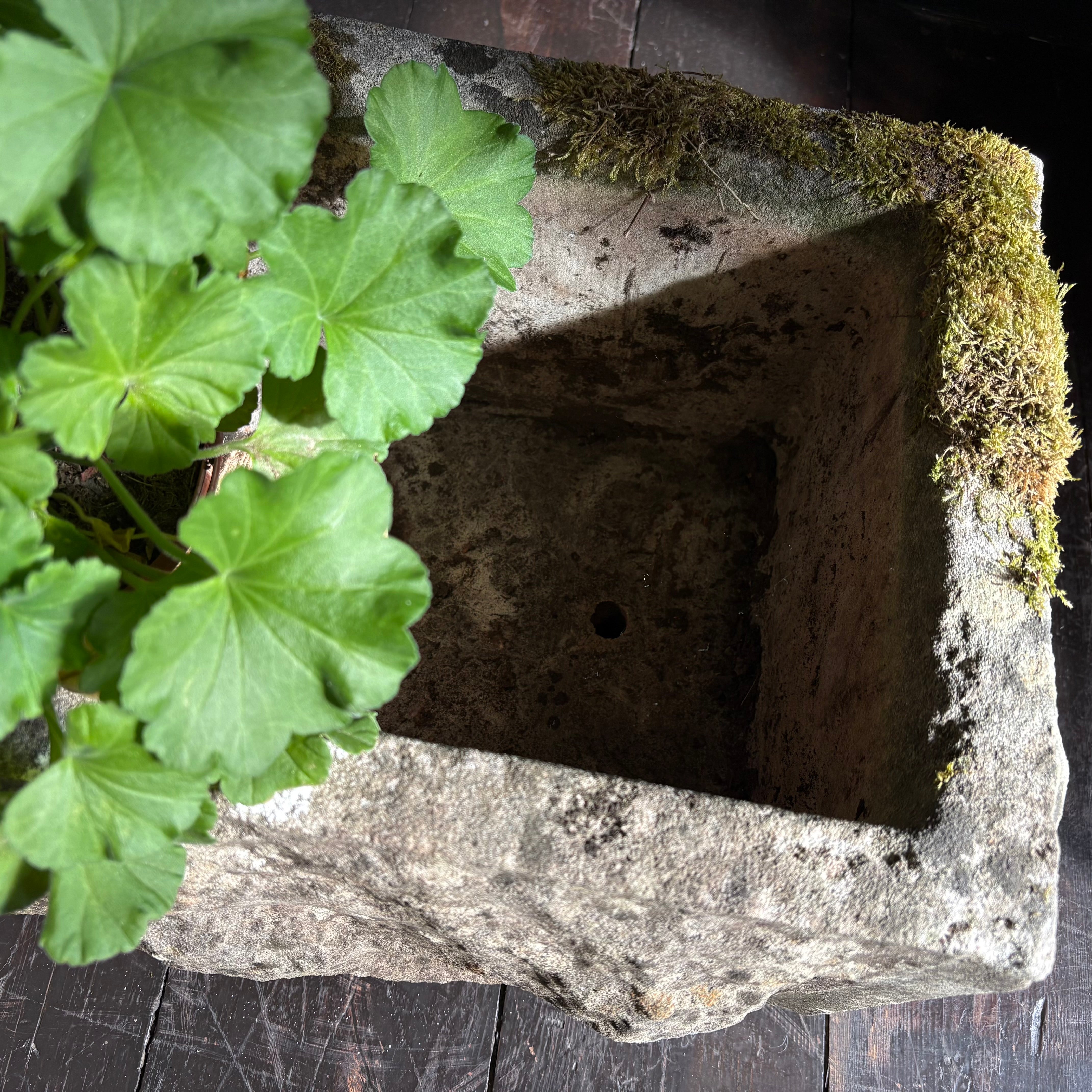 Small Garden Trough
