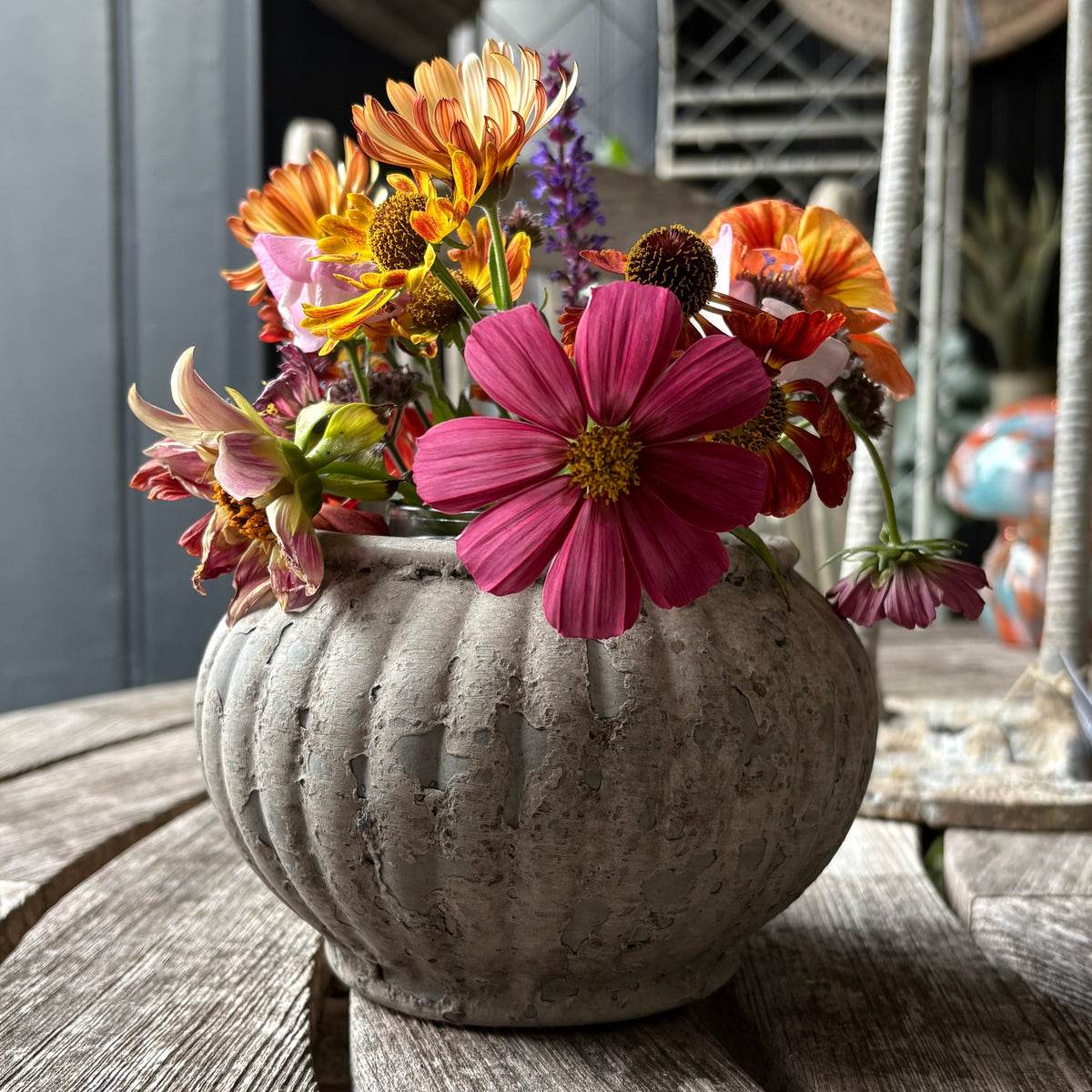 Barnacle Pot