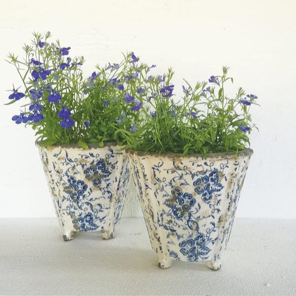 Flo Flower Pot