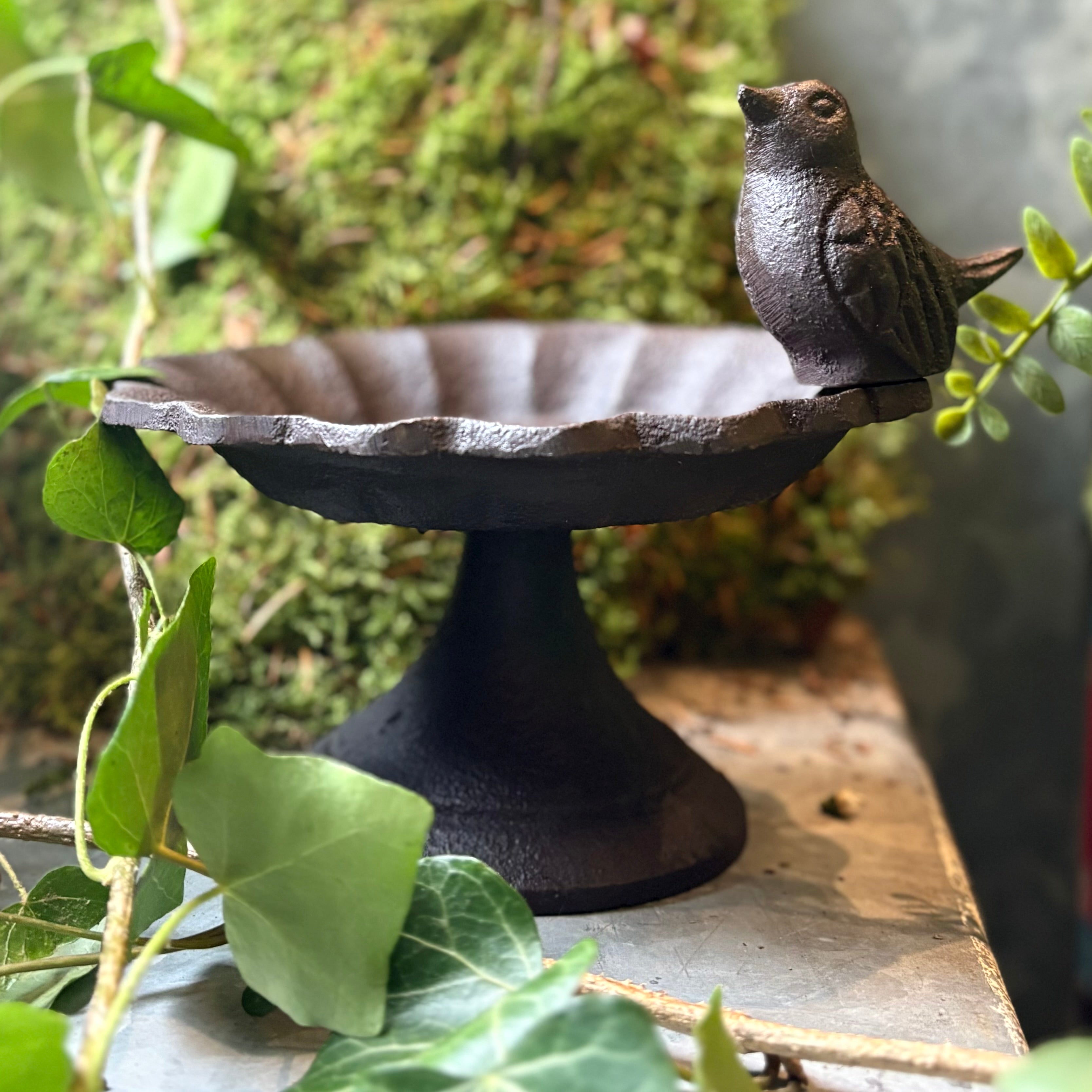 Decorative Iron Bird Bath/ Feeder