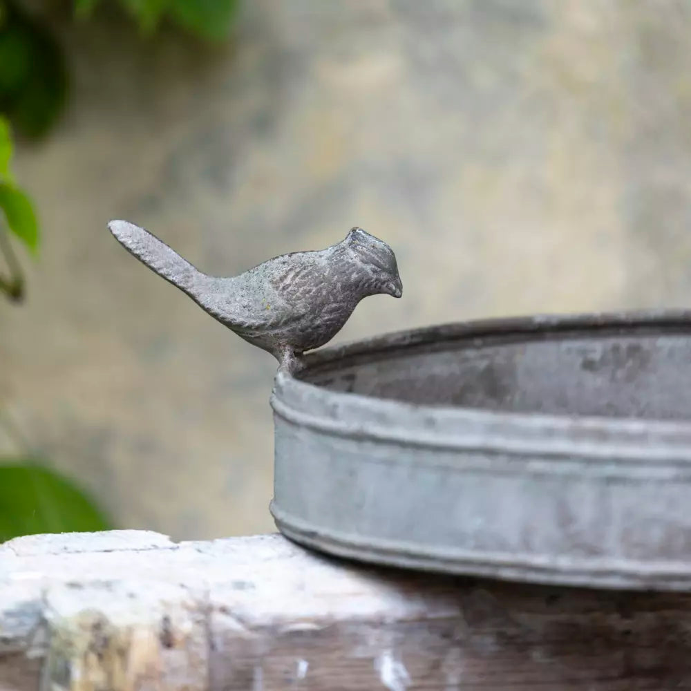 Decorative Metal Birdbath