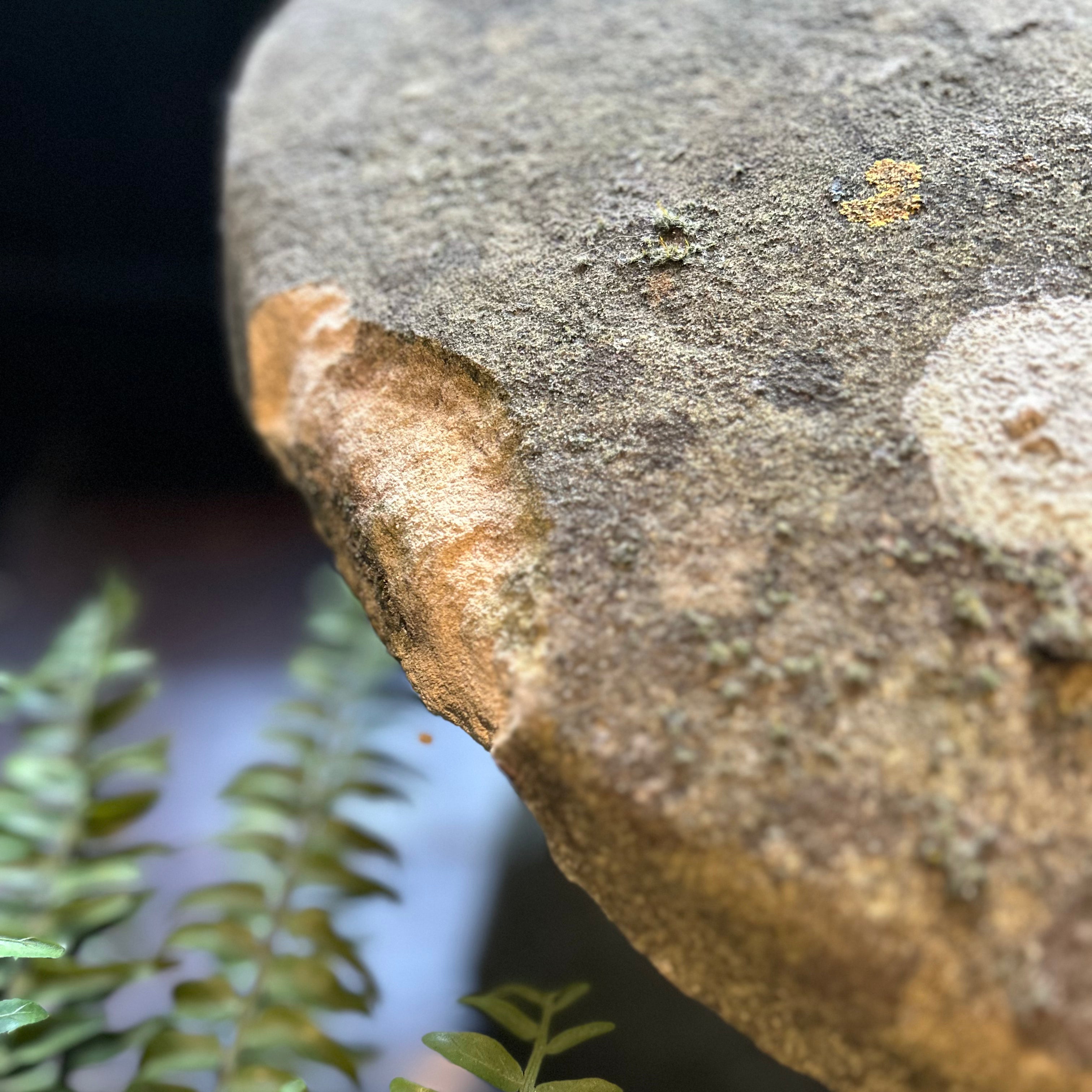 Ornamental Garden Mushroom