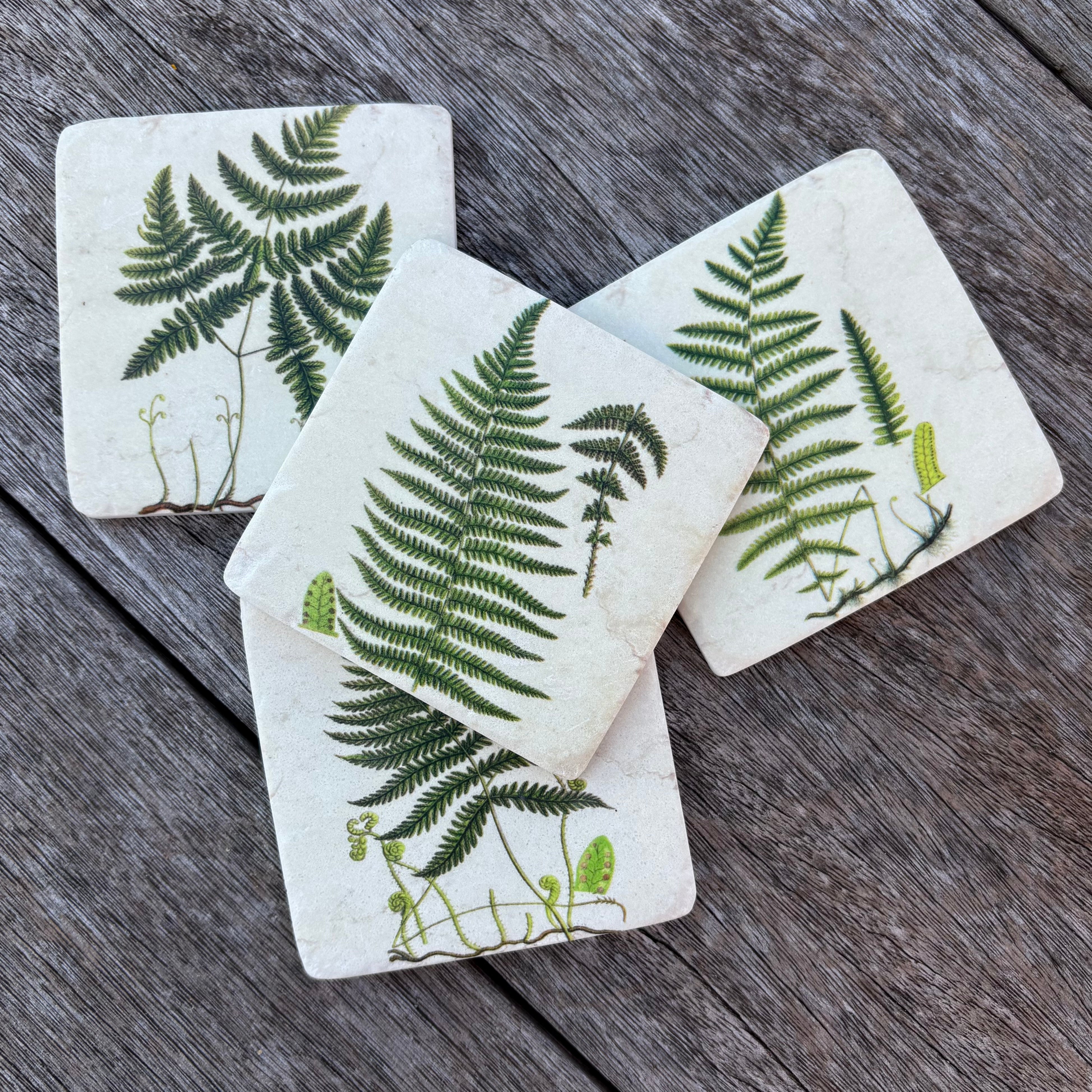 Set Of 4 Fern Coasters