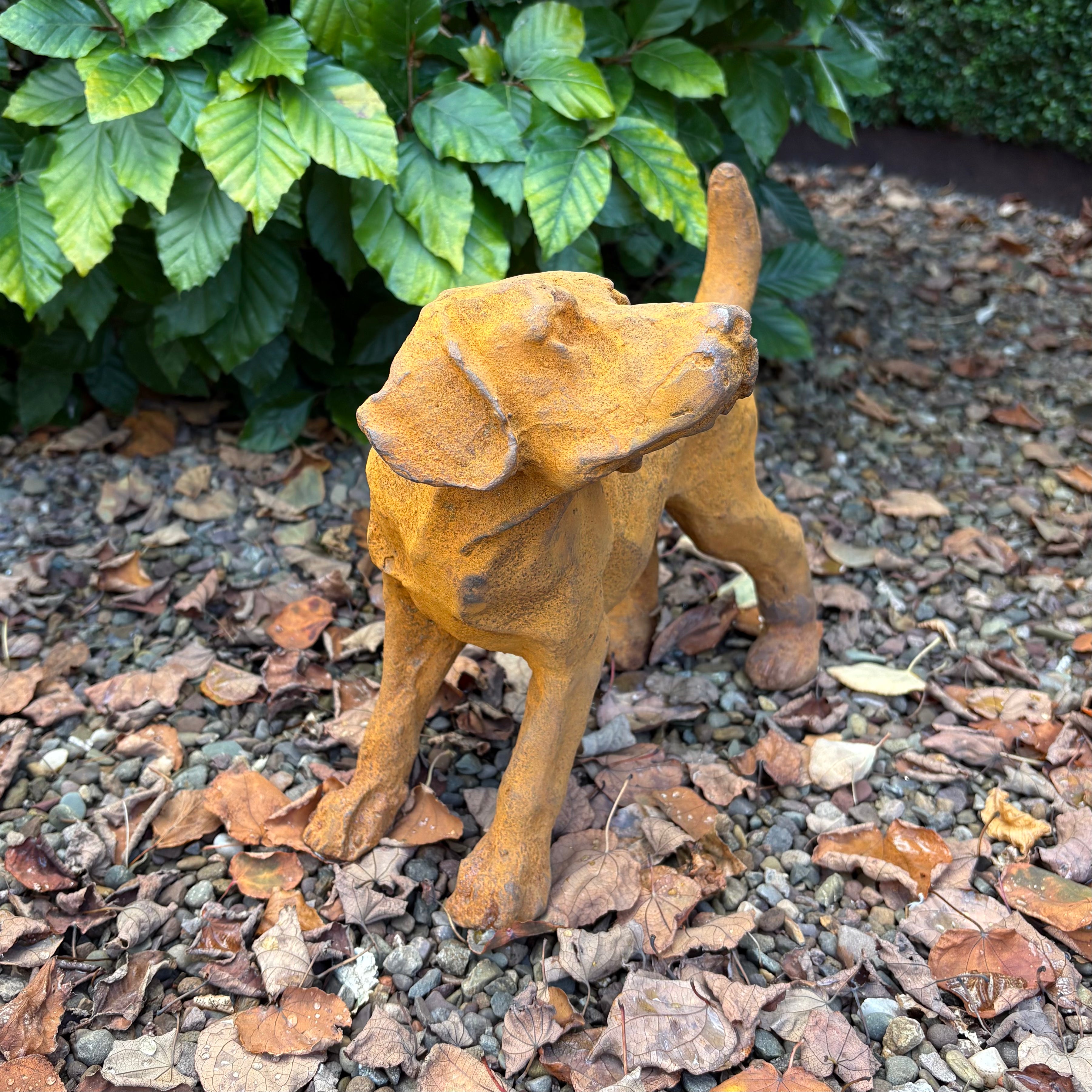 Cast Iron Puppy