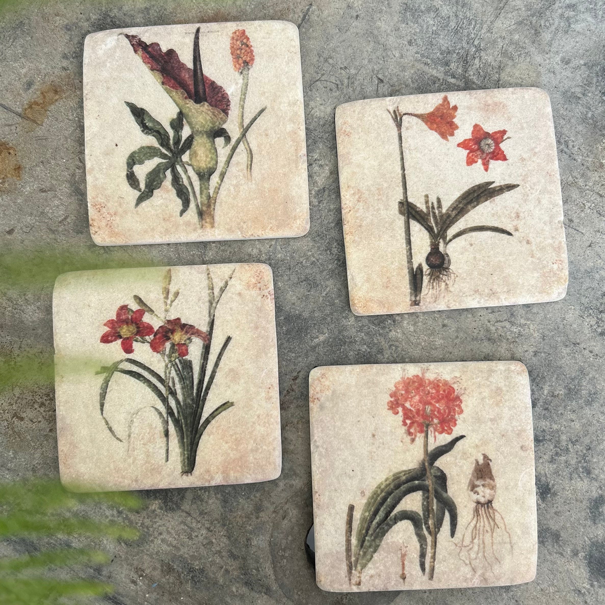 Set Of 4 Floral Coasters