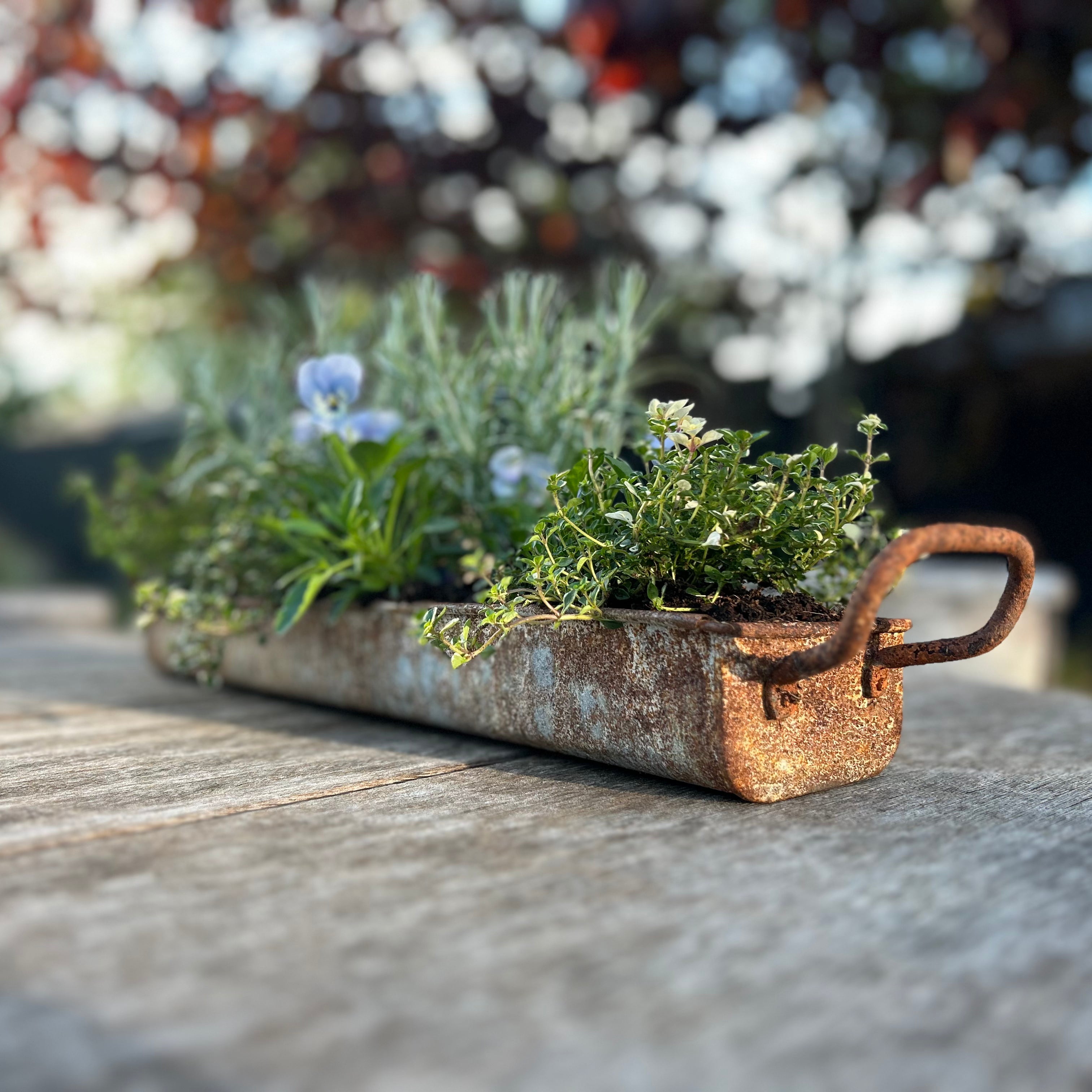Rusty Zinc Trough