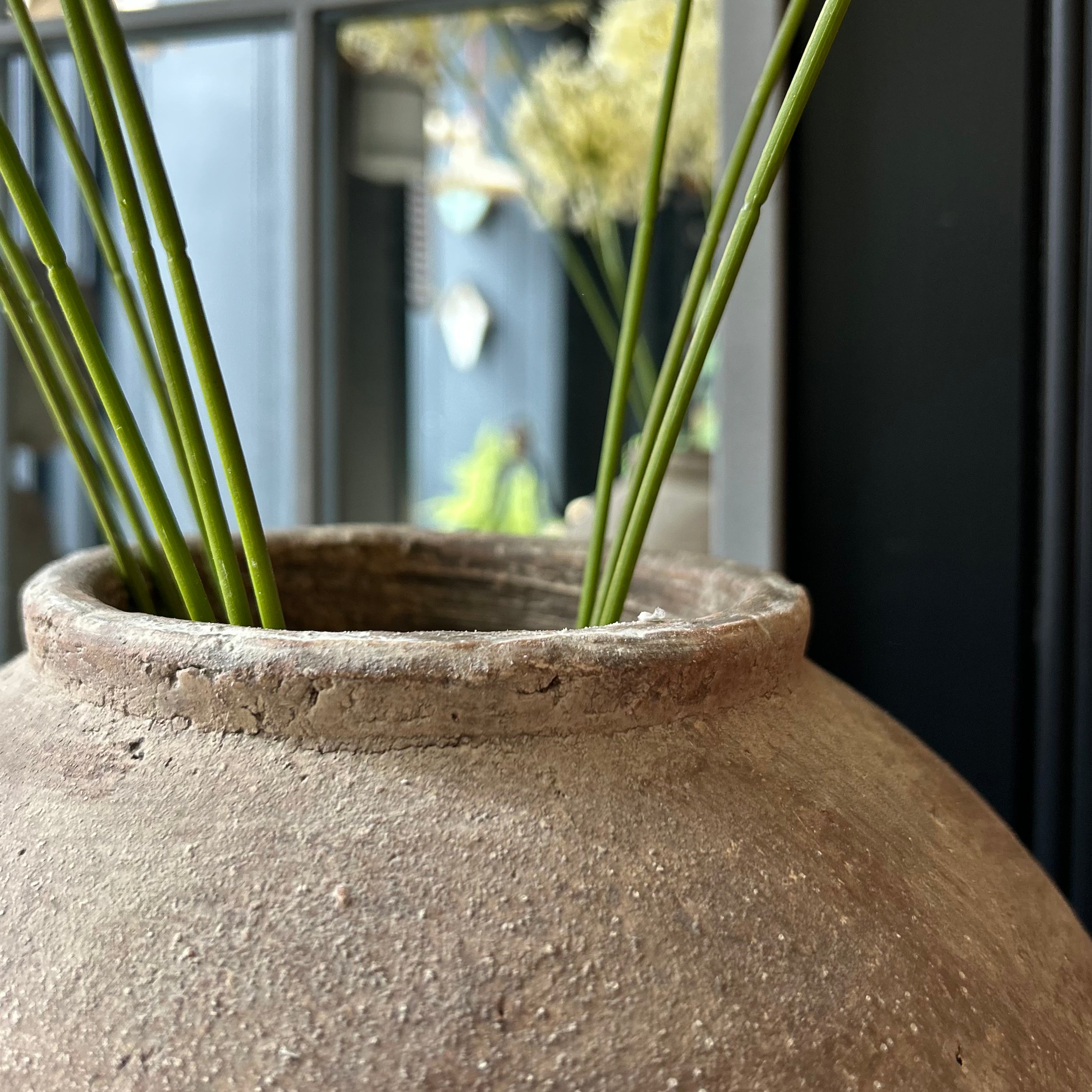 Isla Pot