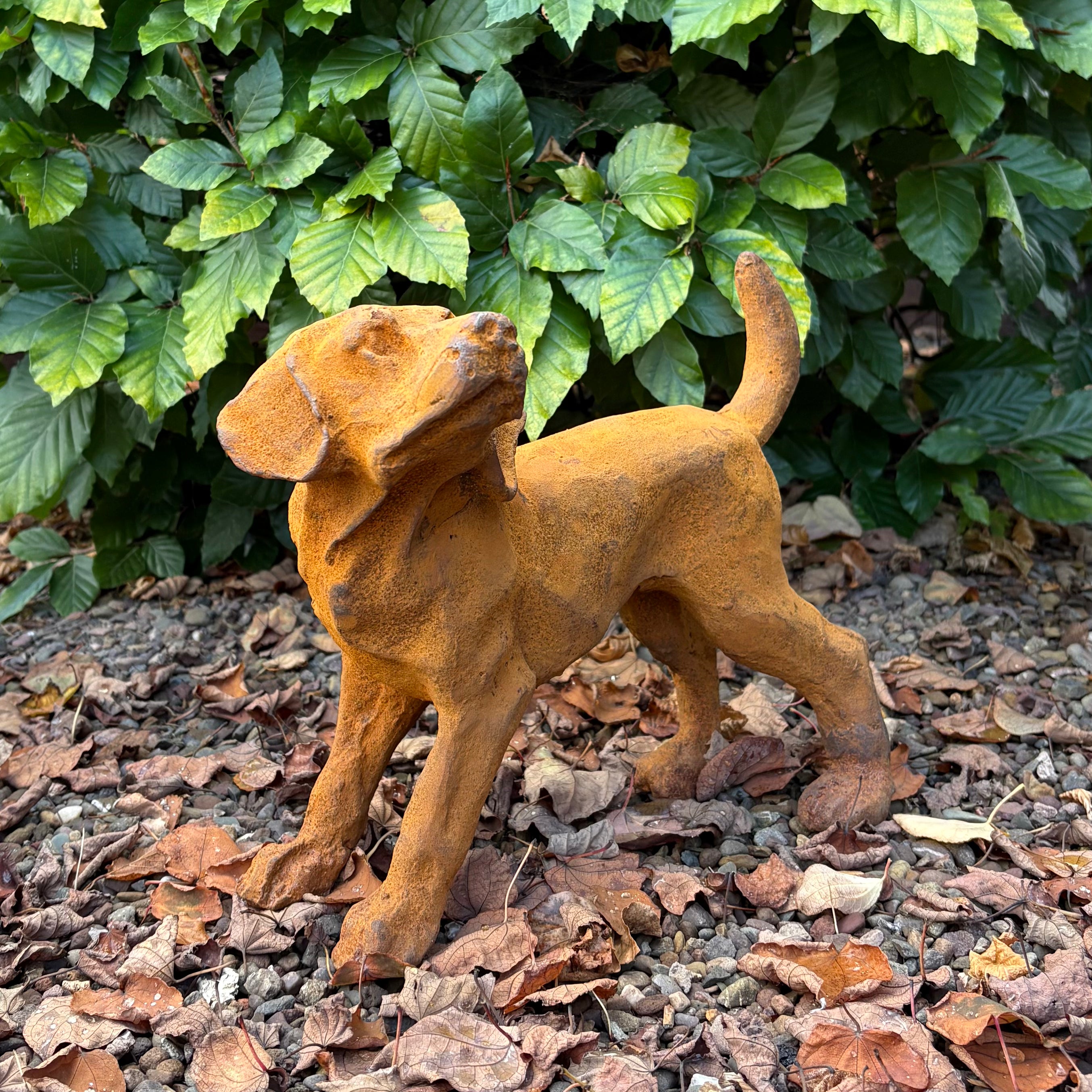 Cast Iron Puppy