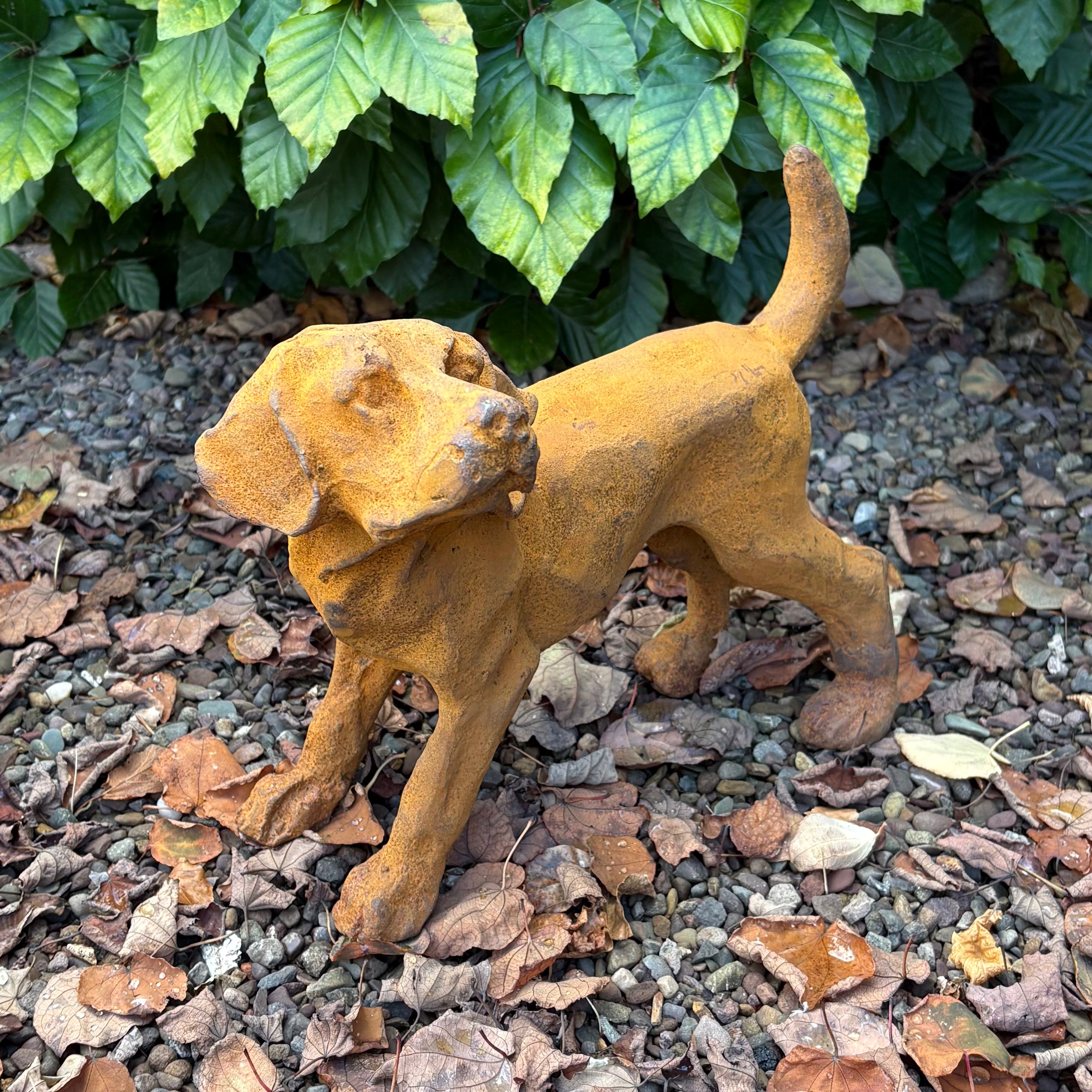 Cast Iron Puppy