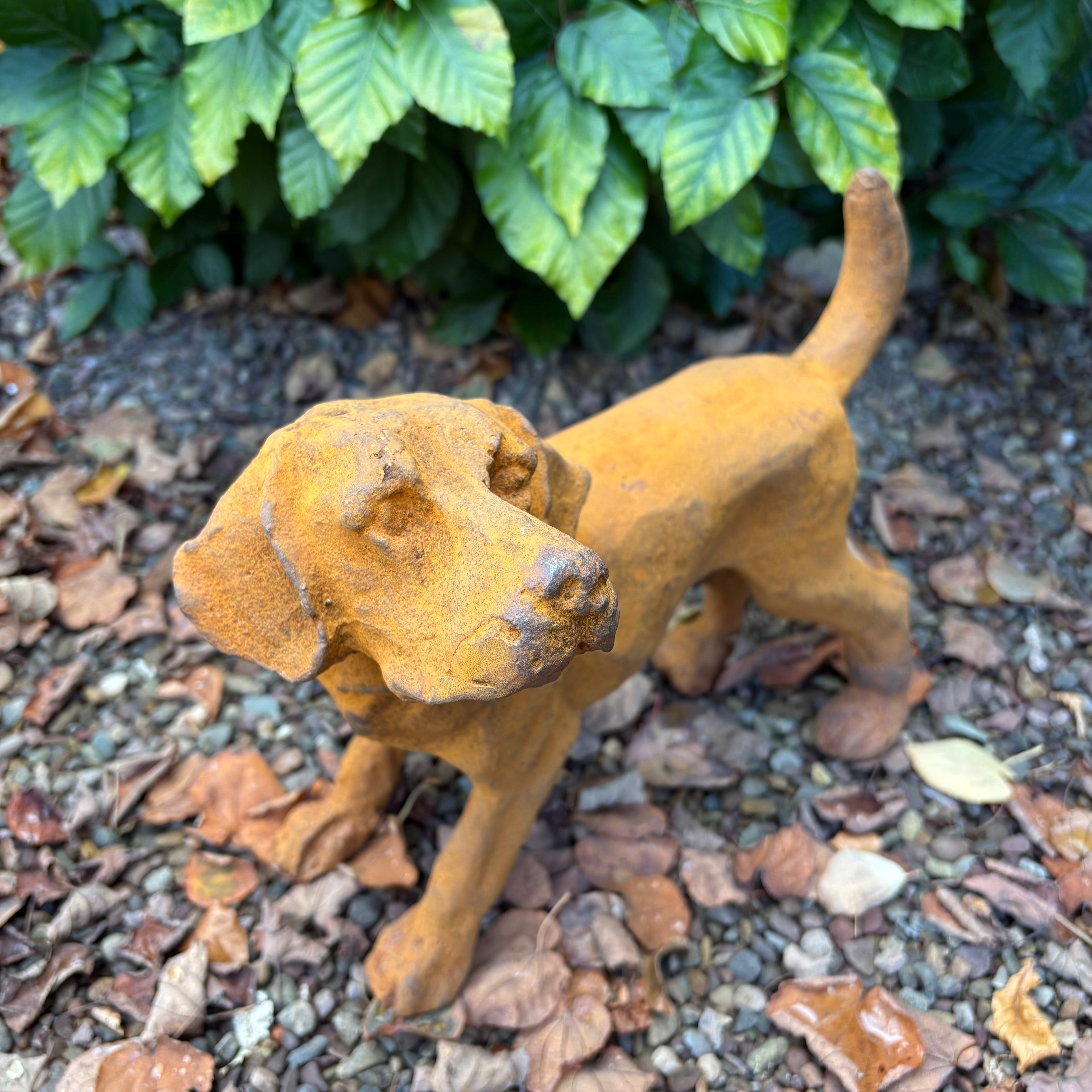 Cast Iron Puppy