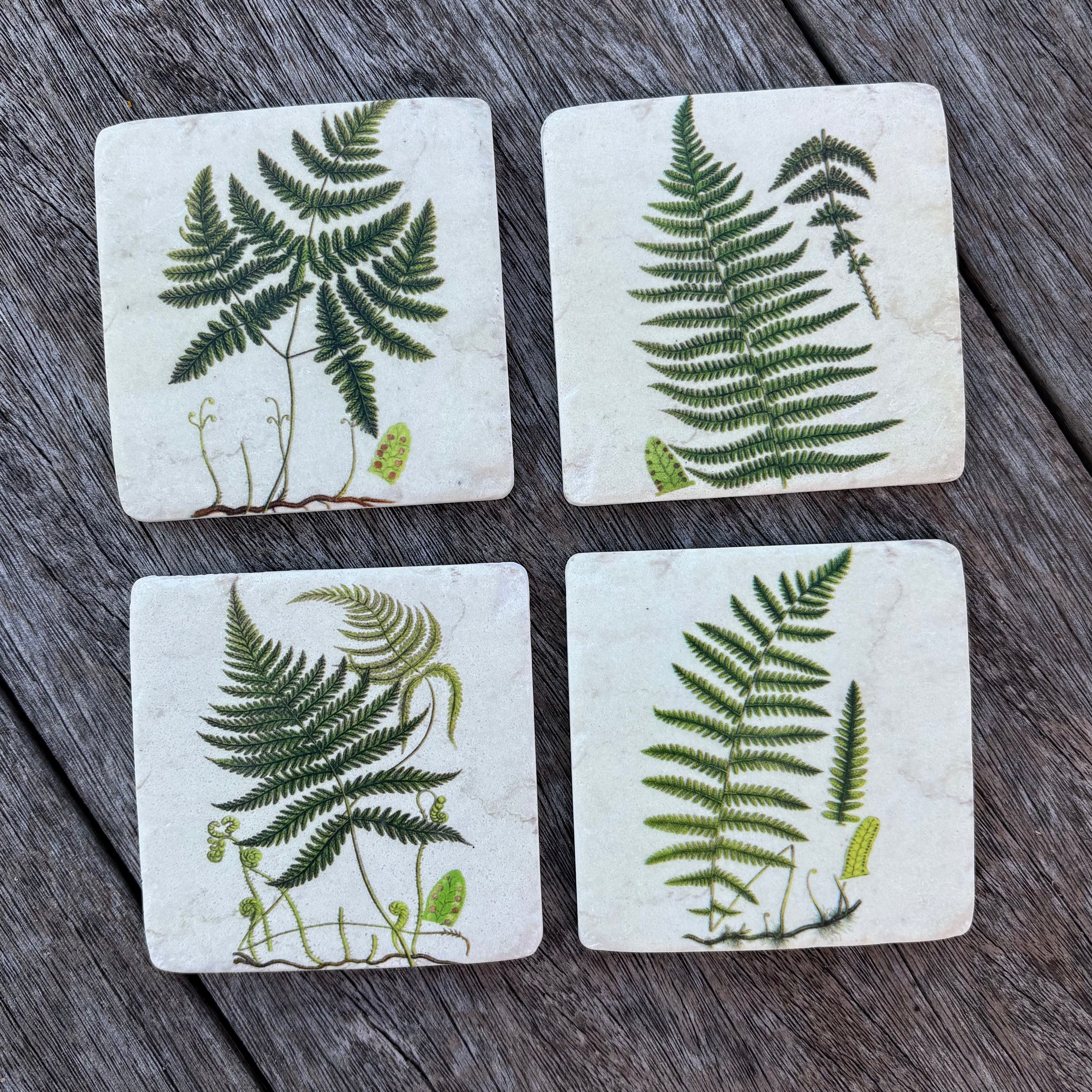 Set Of 4 Fern Coasters
