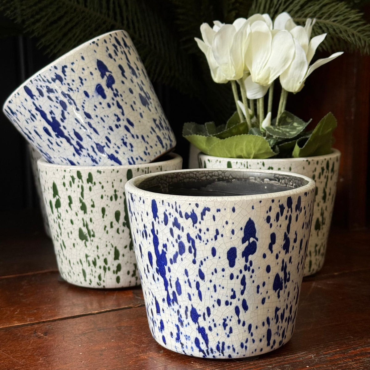 Splash Pot Splash Plant Pot | Indoor Pot | Decorative Homeware | Henderson's