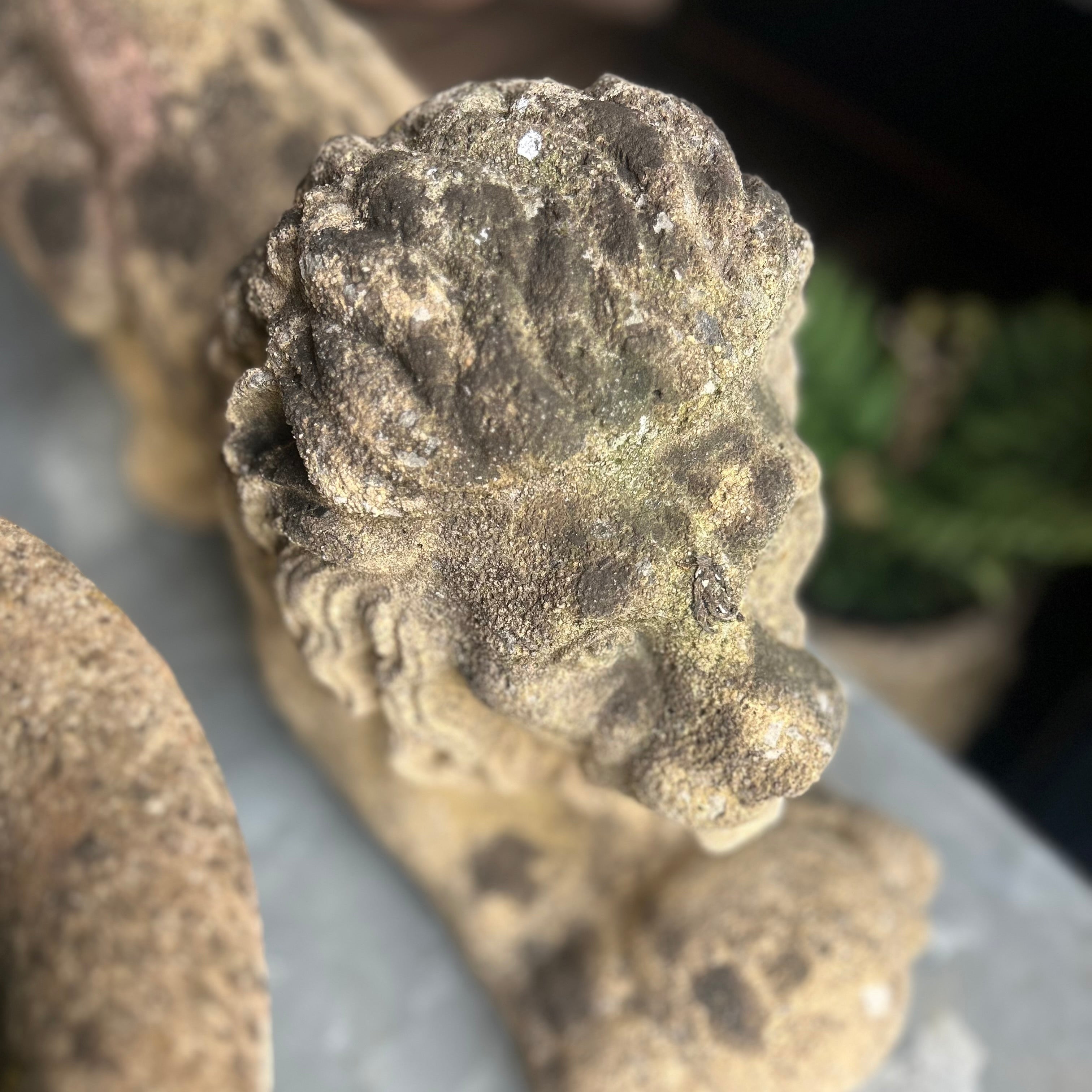 Reconstituted Stone Lion