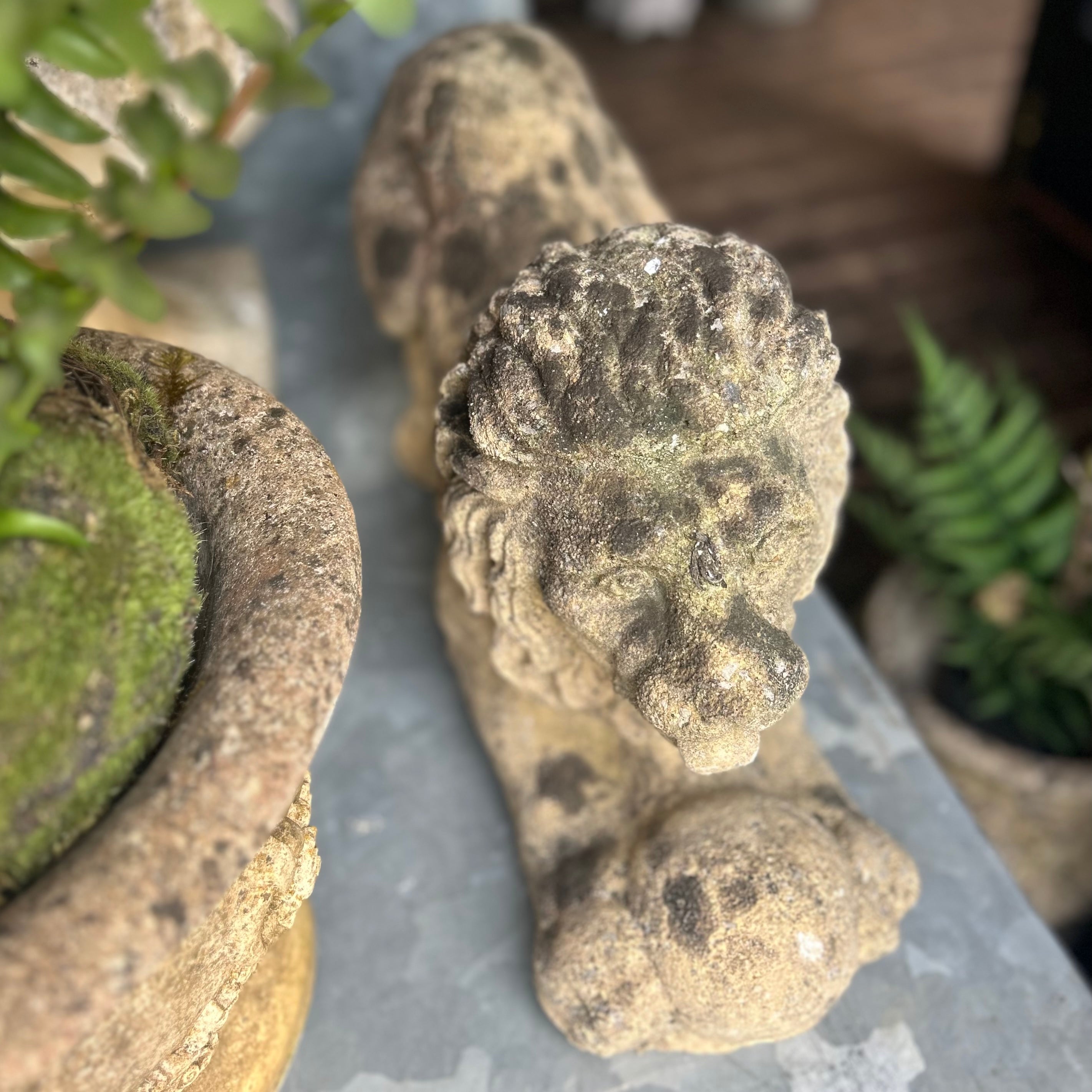 Reconstituted Stone Lion