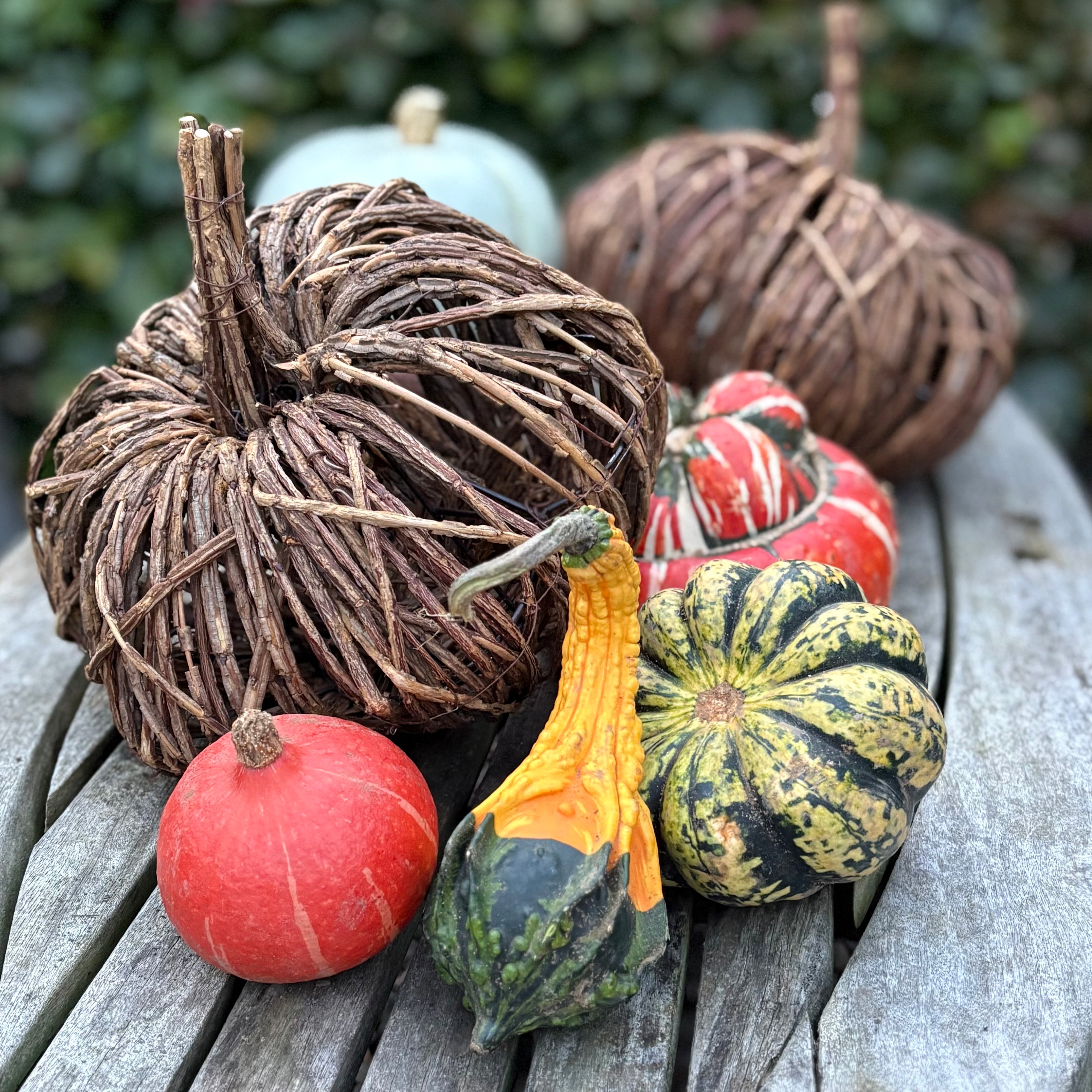 Willow Pumpkin