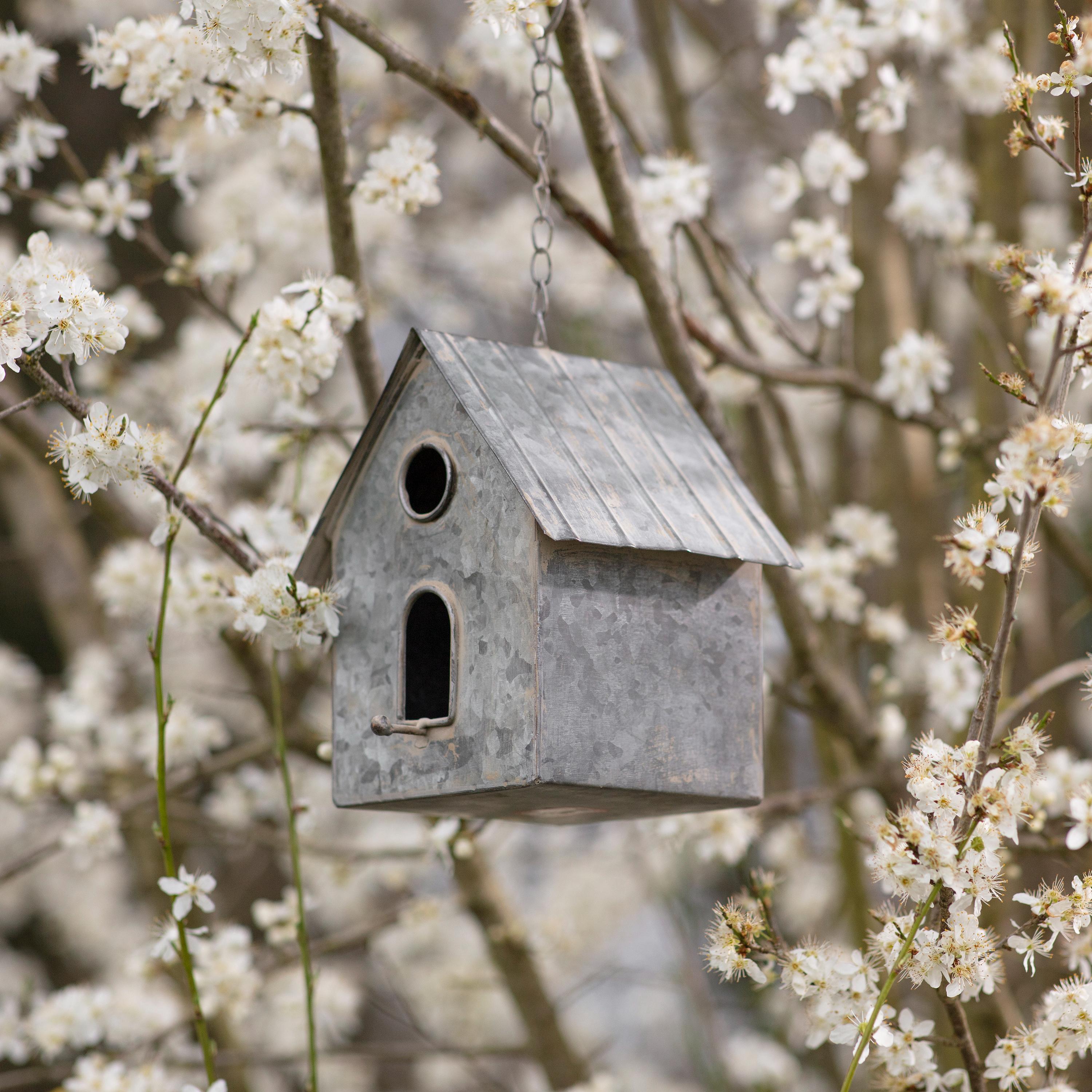 Hawthorn Birdhouse