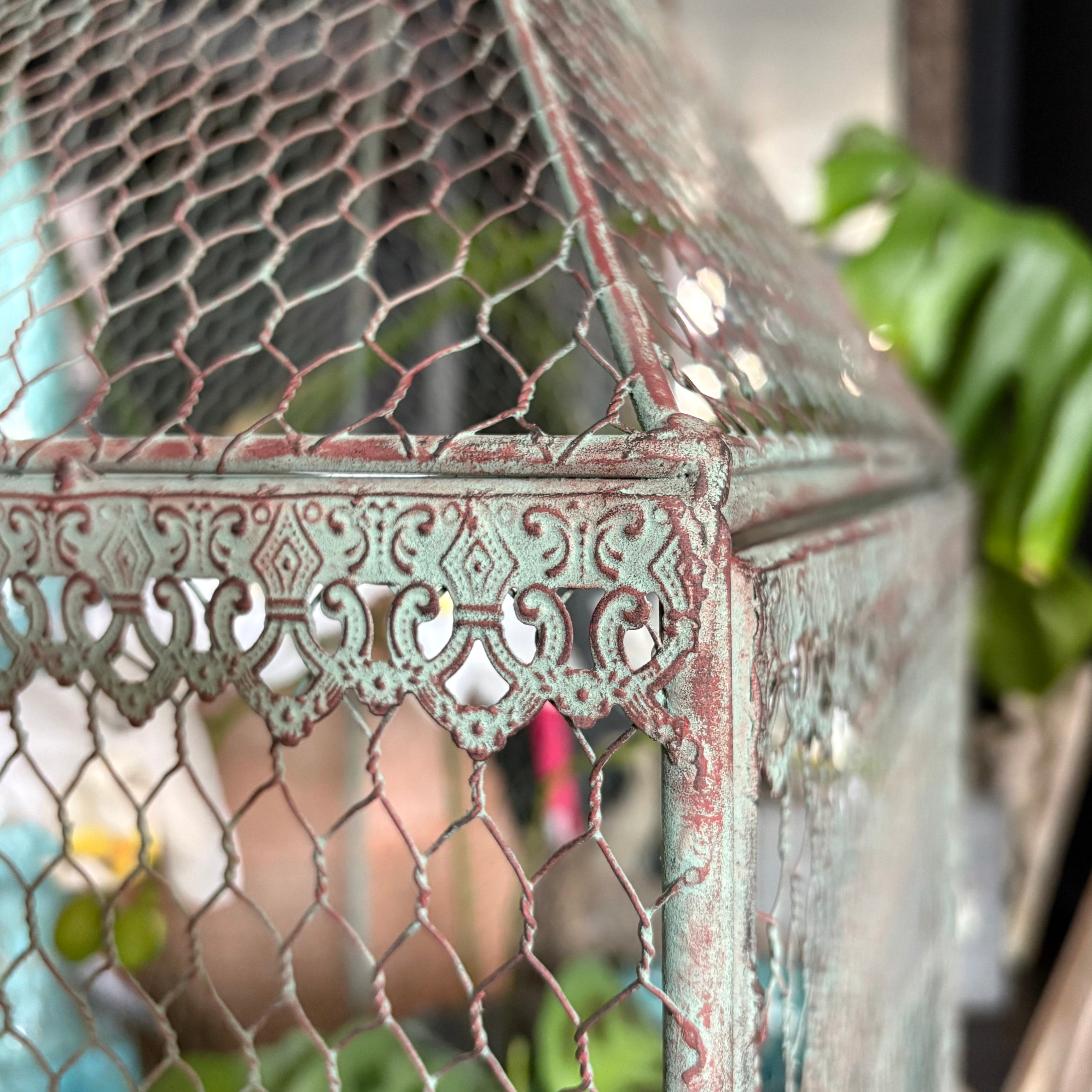 Birdcage Plant Theatre