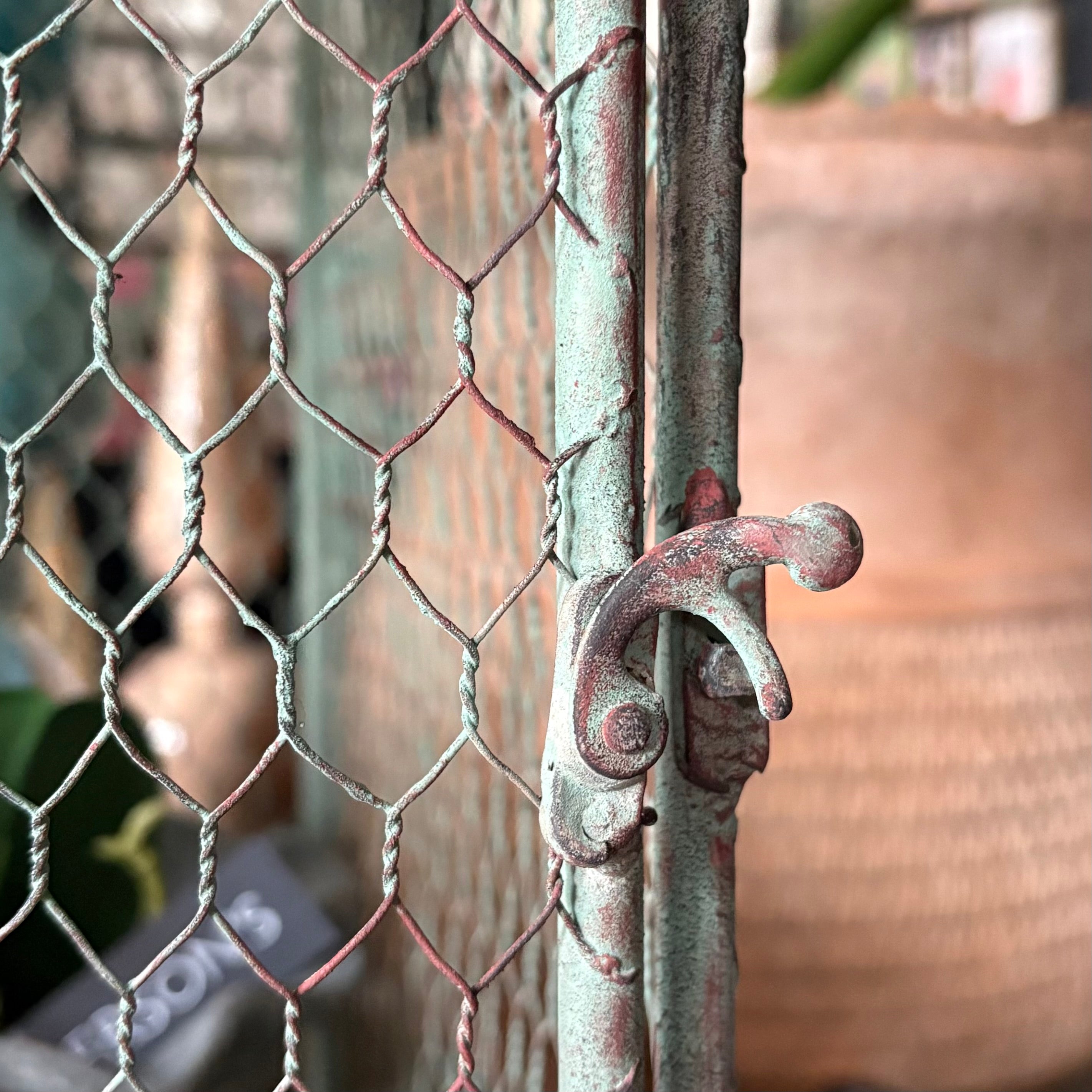 Birdcage Plant Theatre