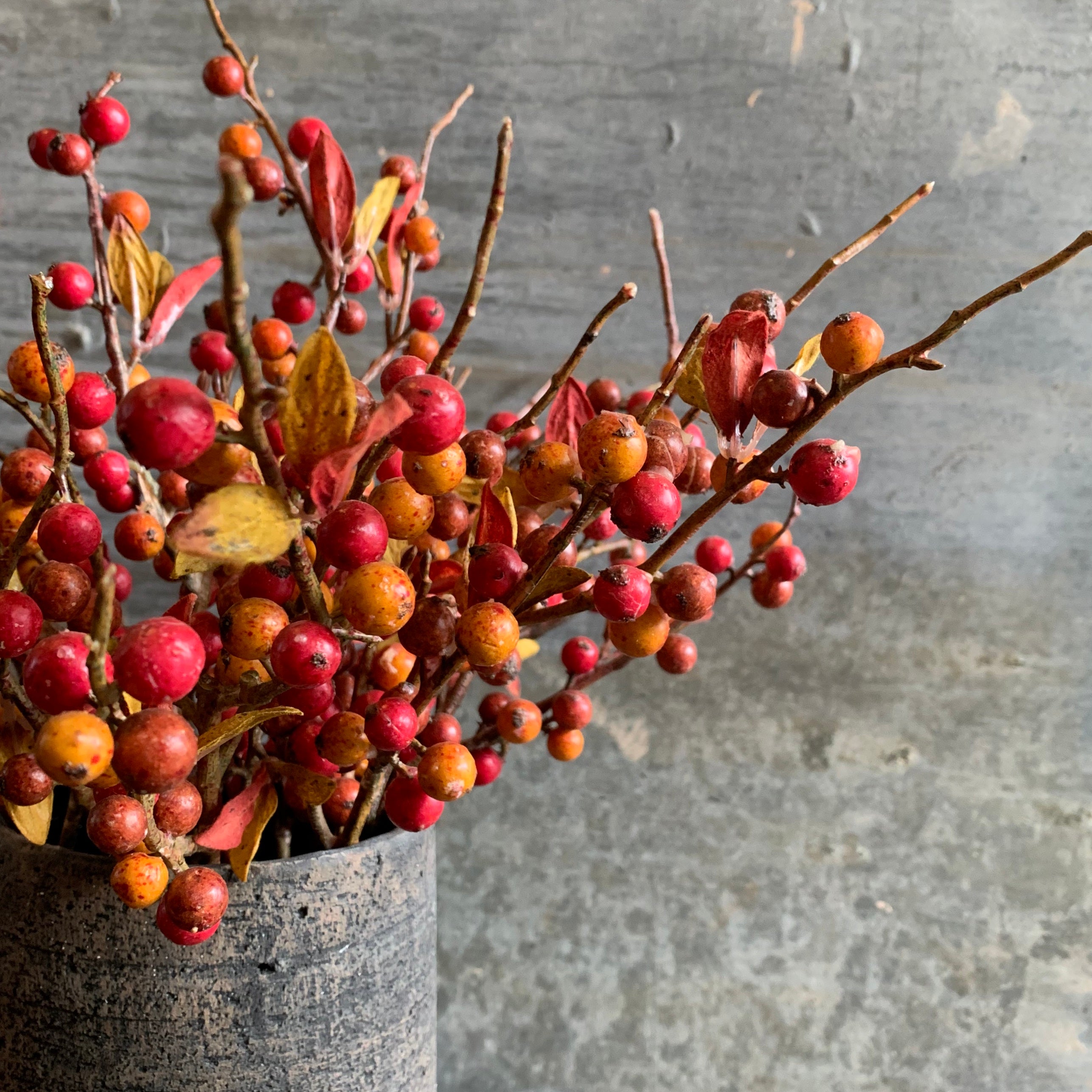 Hedgerow Berry Stem