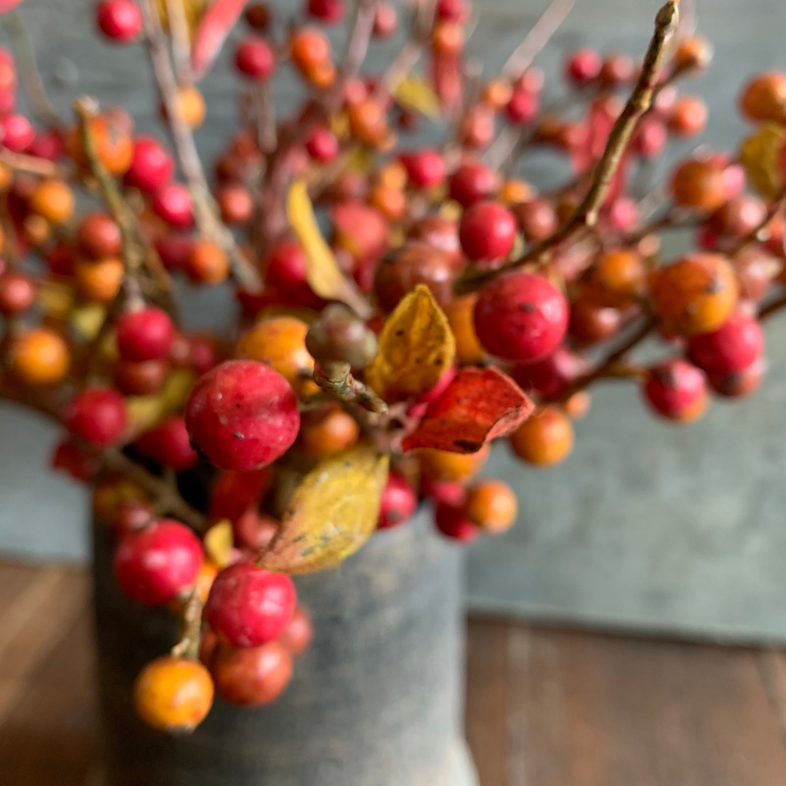 Hedgerow Berry Stem