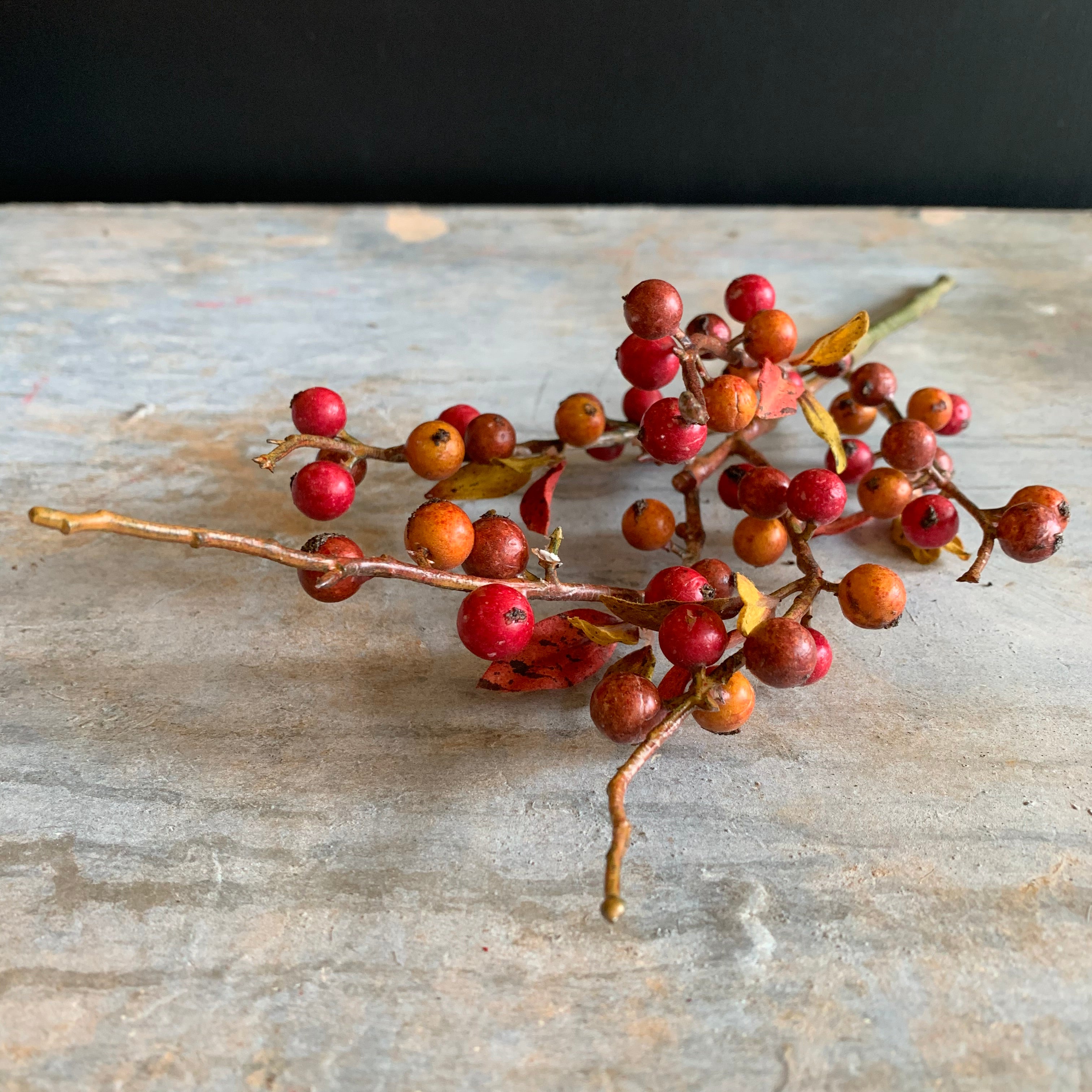 Hedgerow Berry Stem