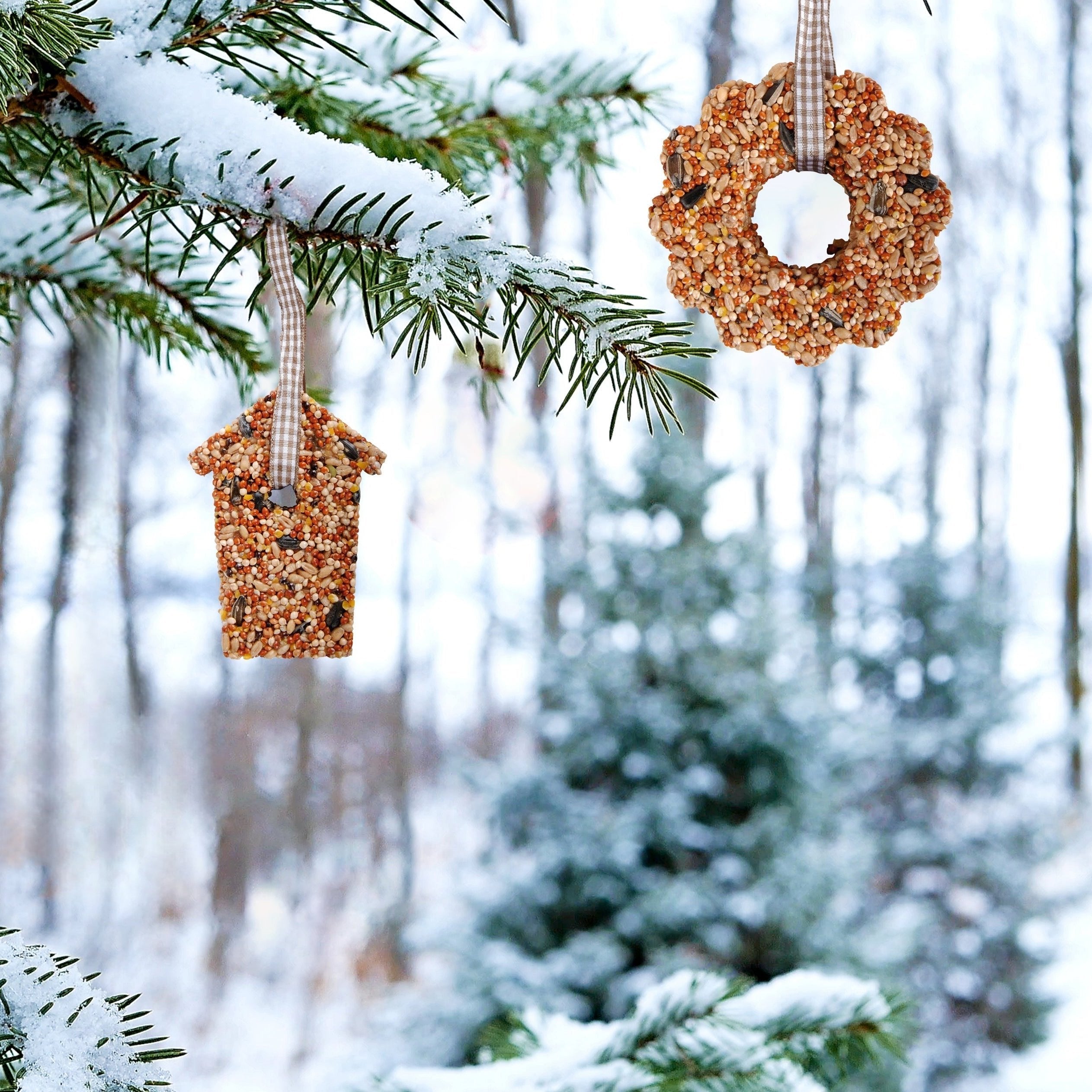 Bird Seed Tree Decorations