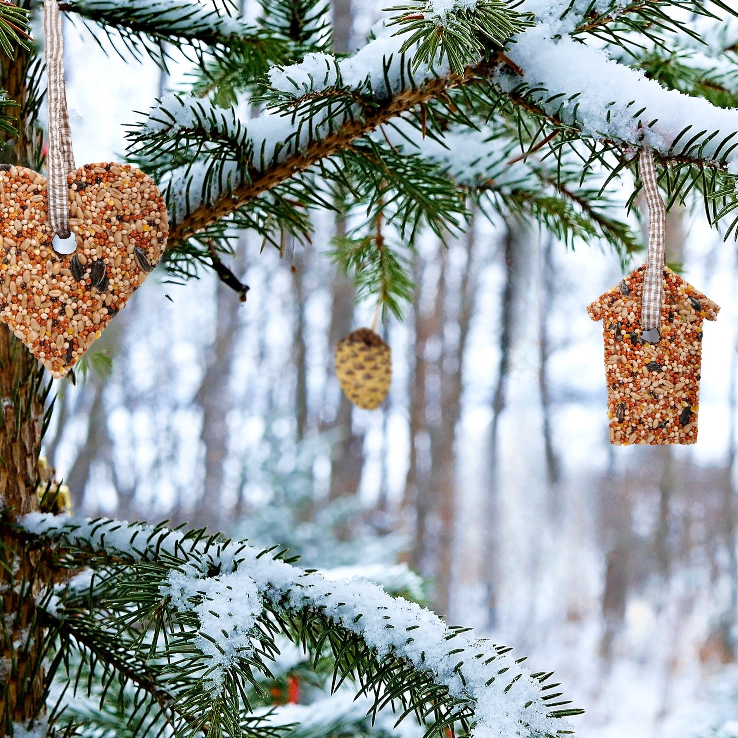 Bird Seed Tree Decorations