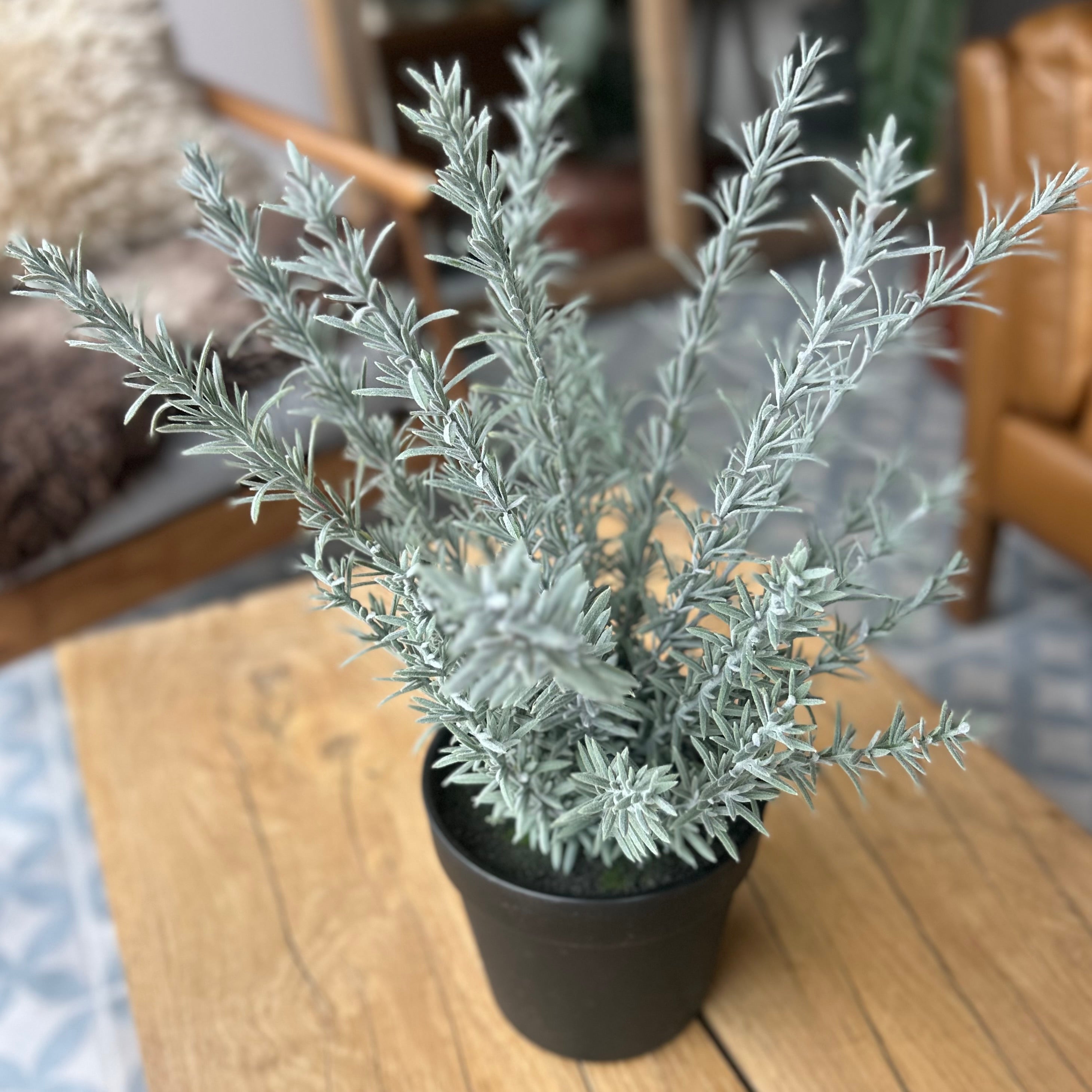 Faux Rosemary Plant In Pot