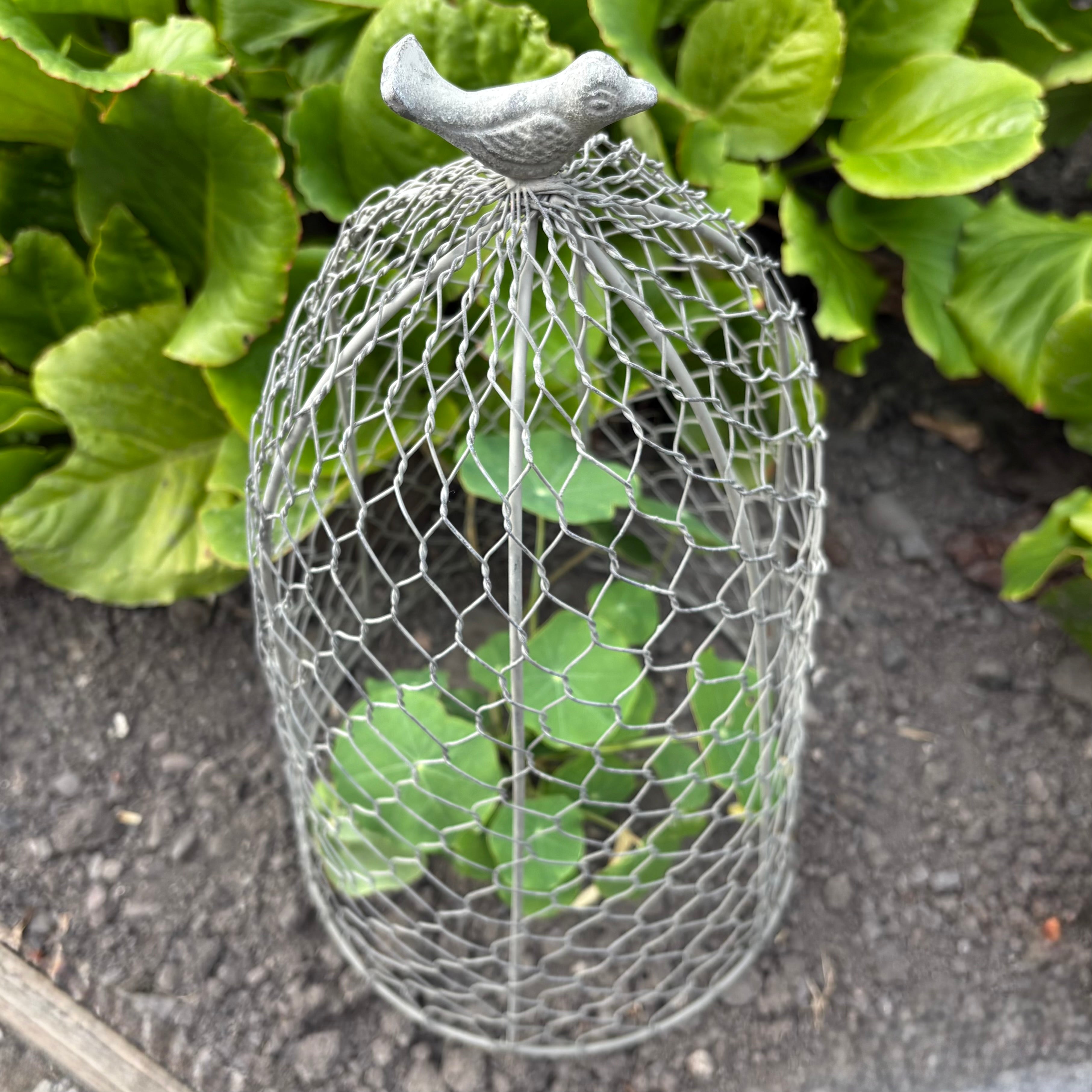 Decorative Garden Cloche