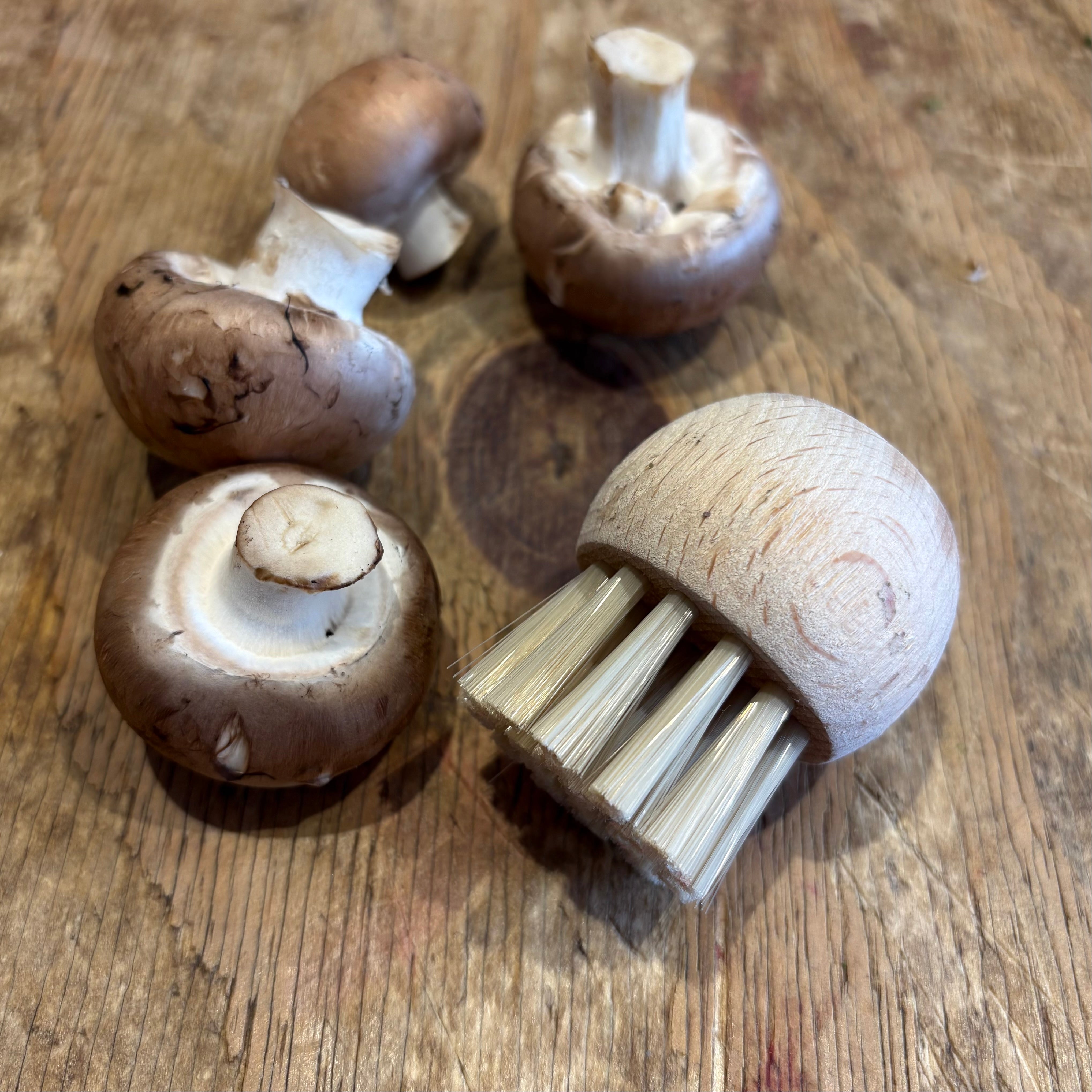 Mushroom Brush