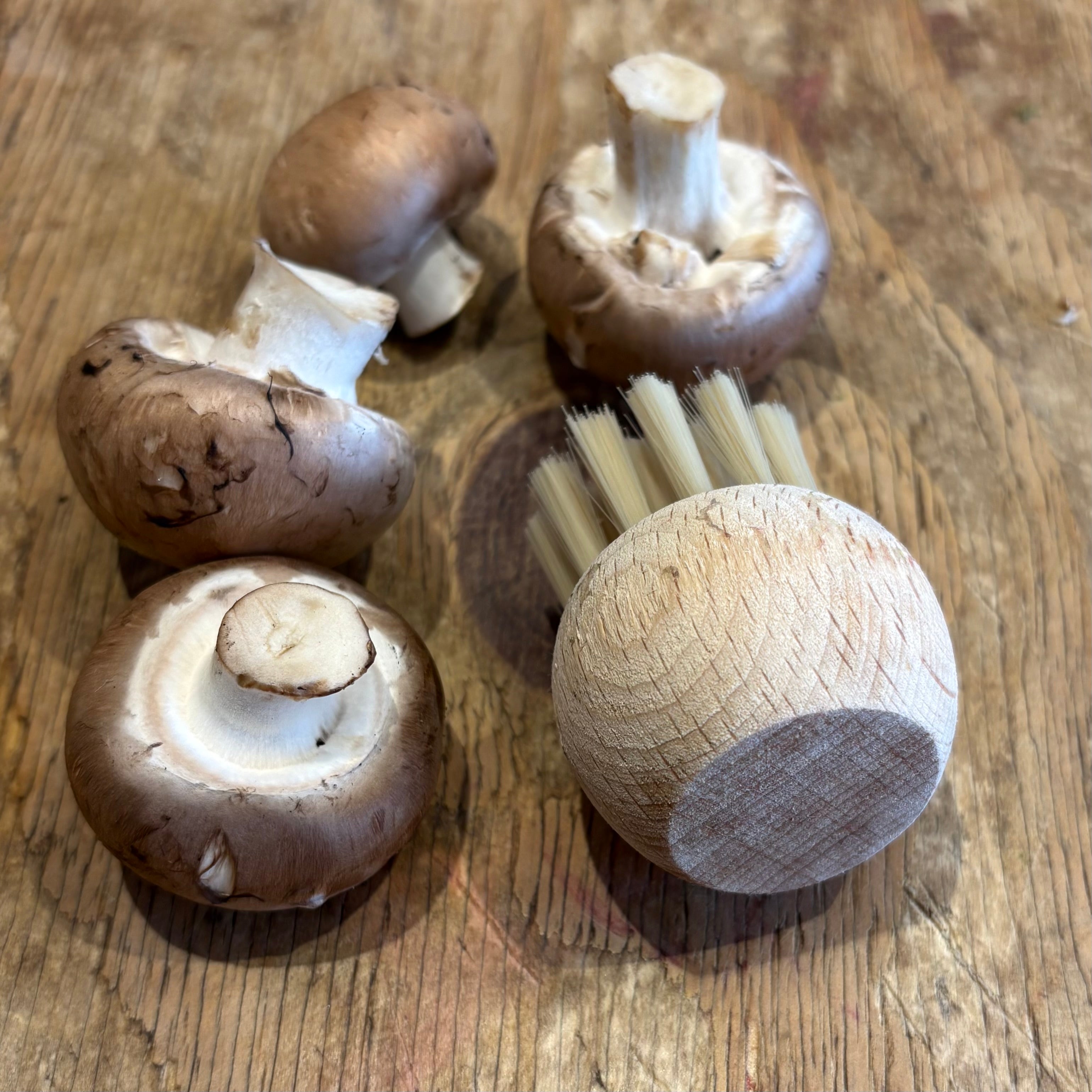 Mushroom Brush