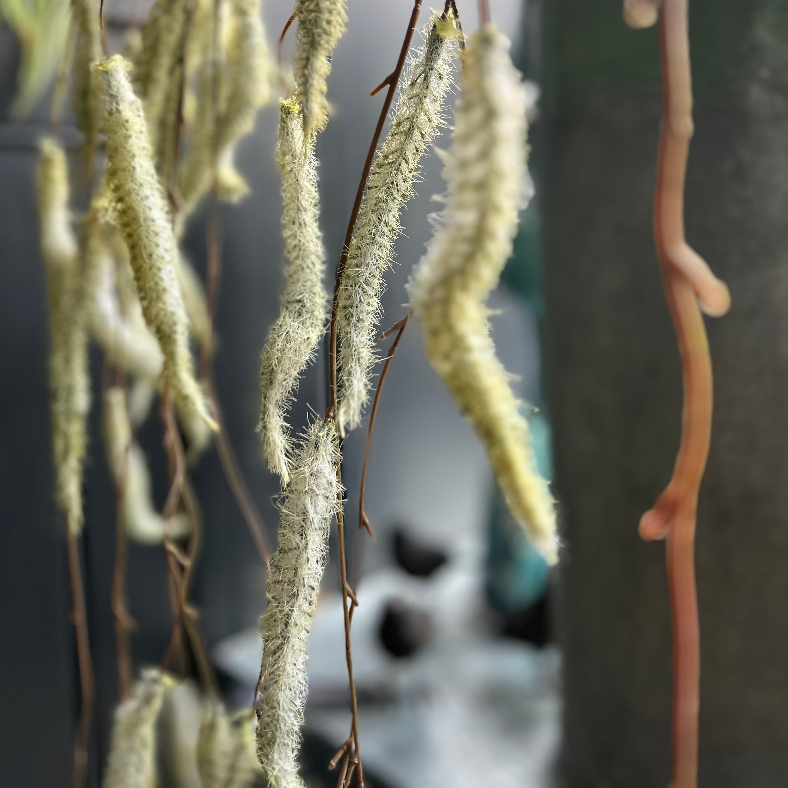 Artificial Trailing Catkin