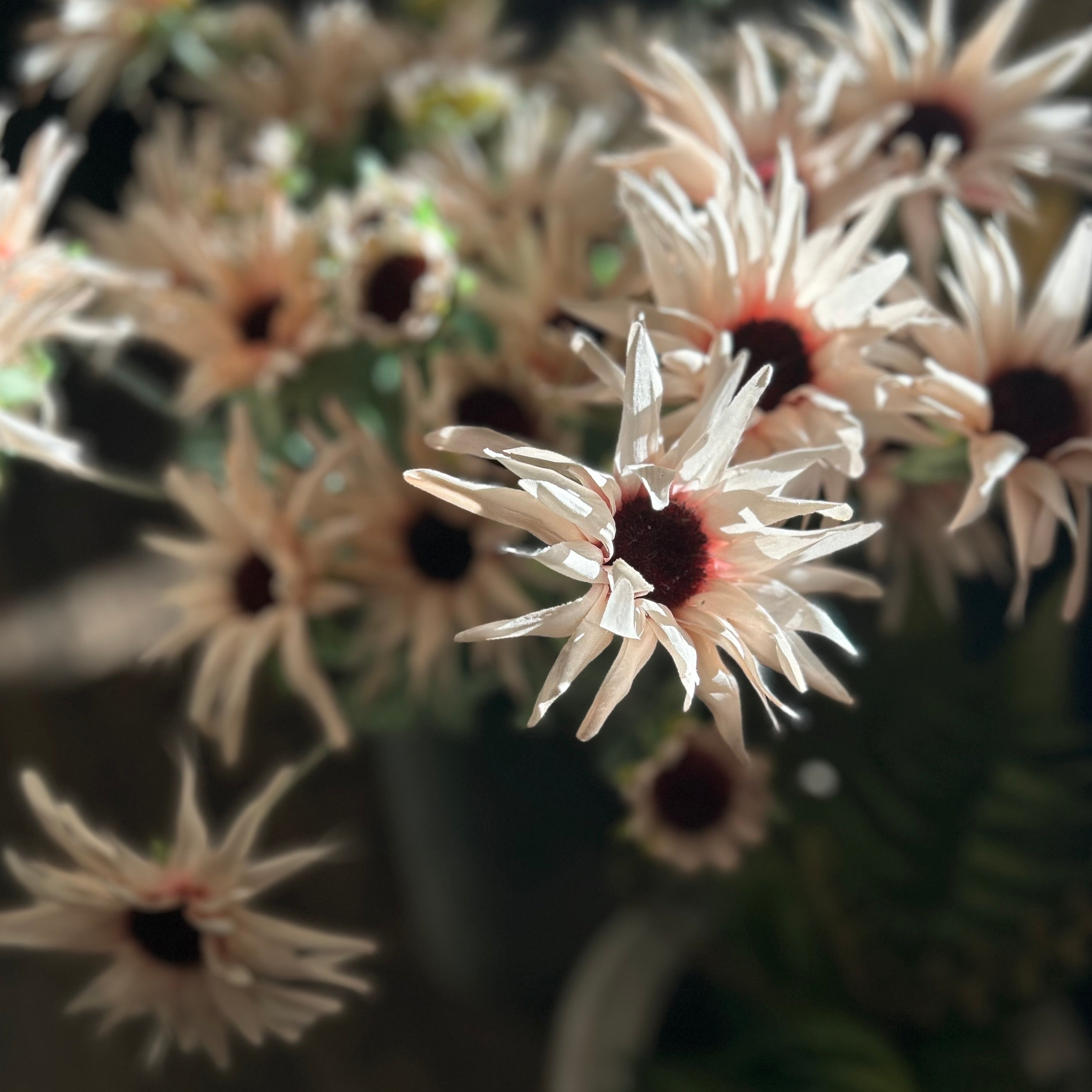 Artificial Chrysanthemum Blush