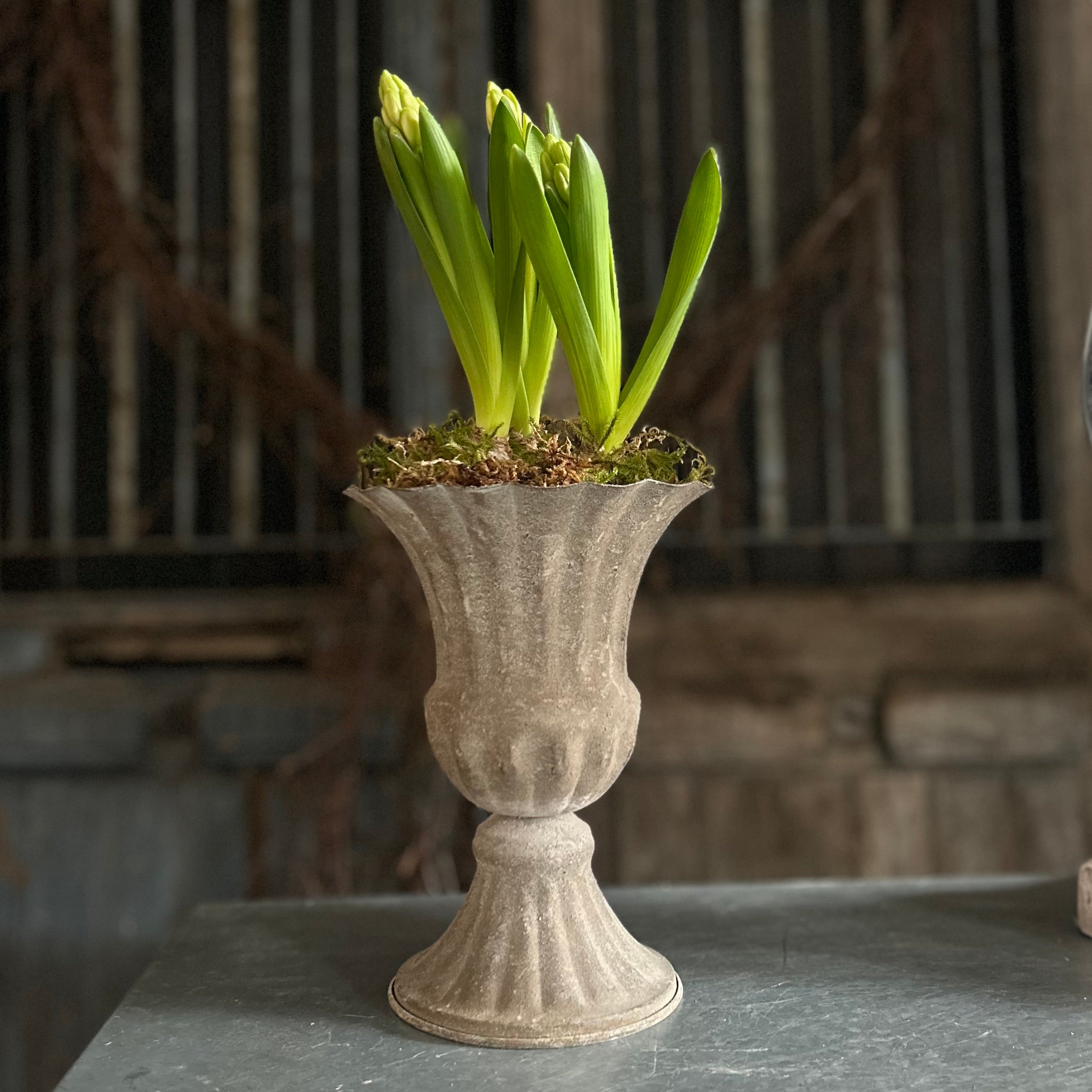 Metal Tulip Urn