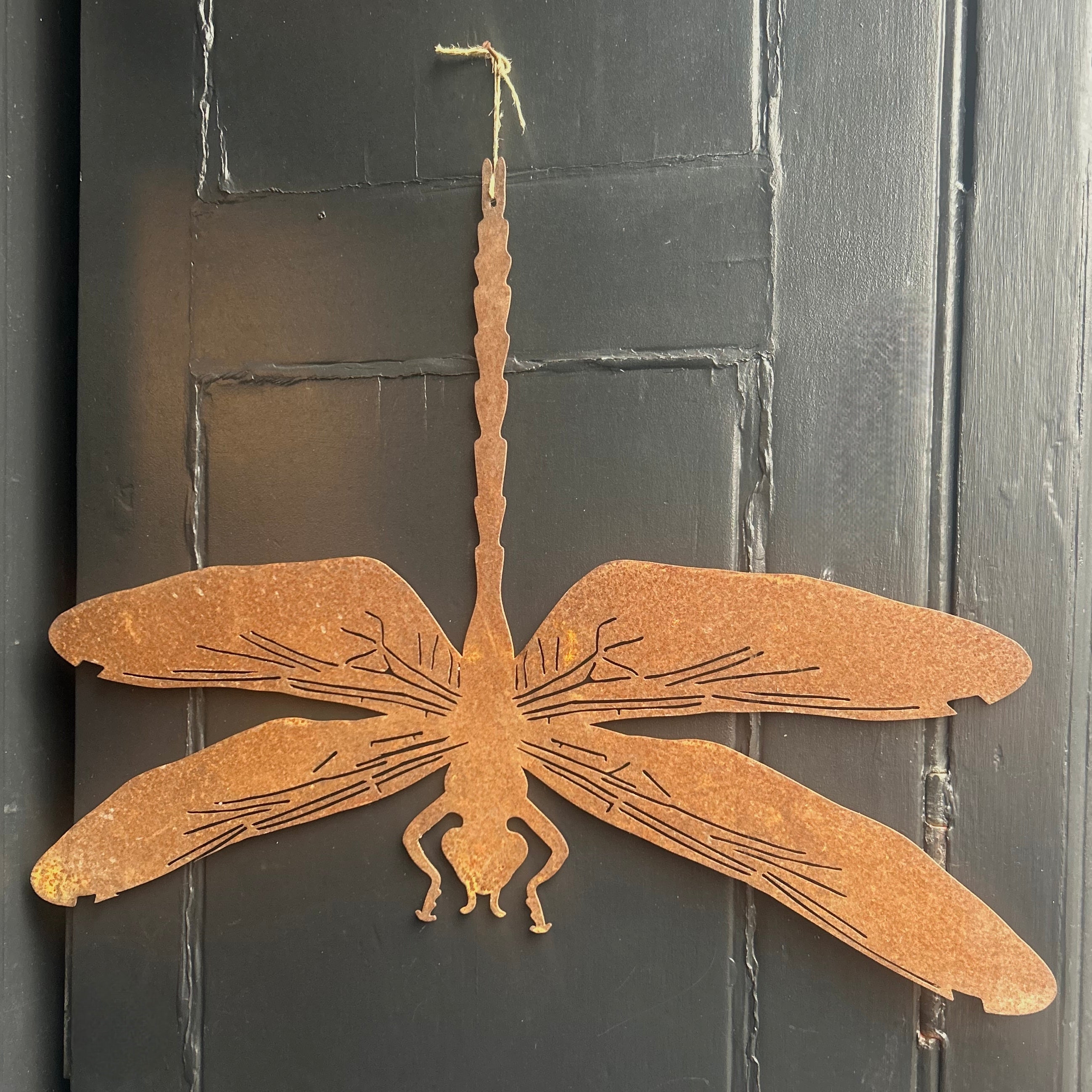 Rusty Dragonfly Wall decor