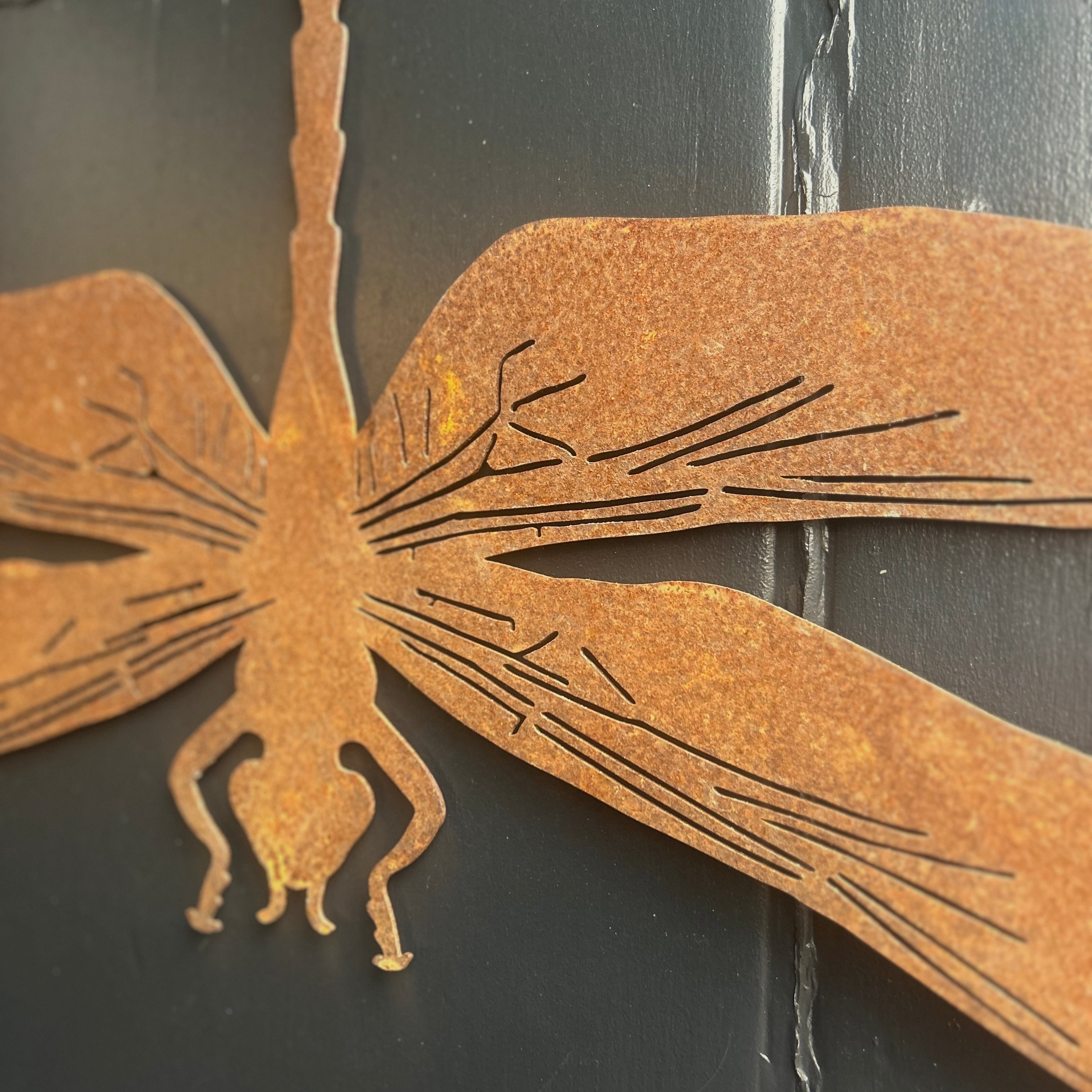 Rusty Dragonfly Wall decor