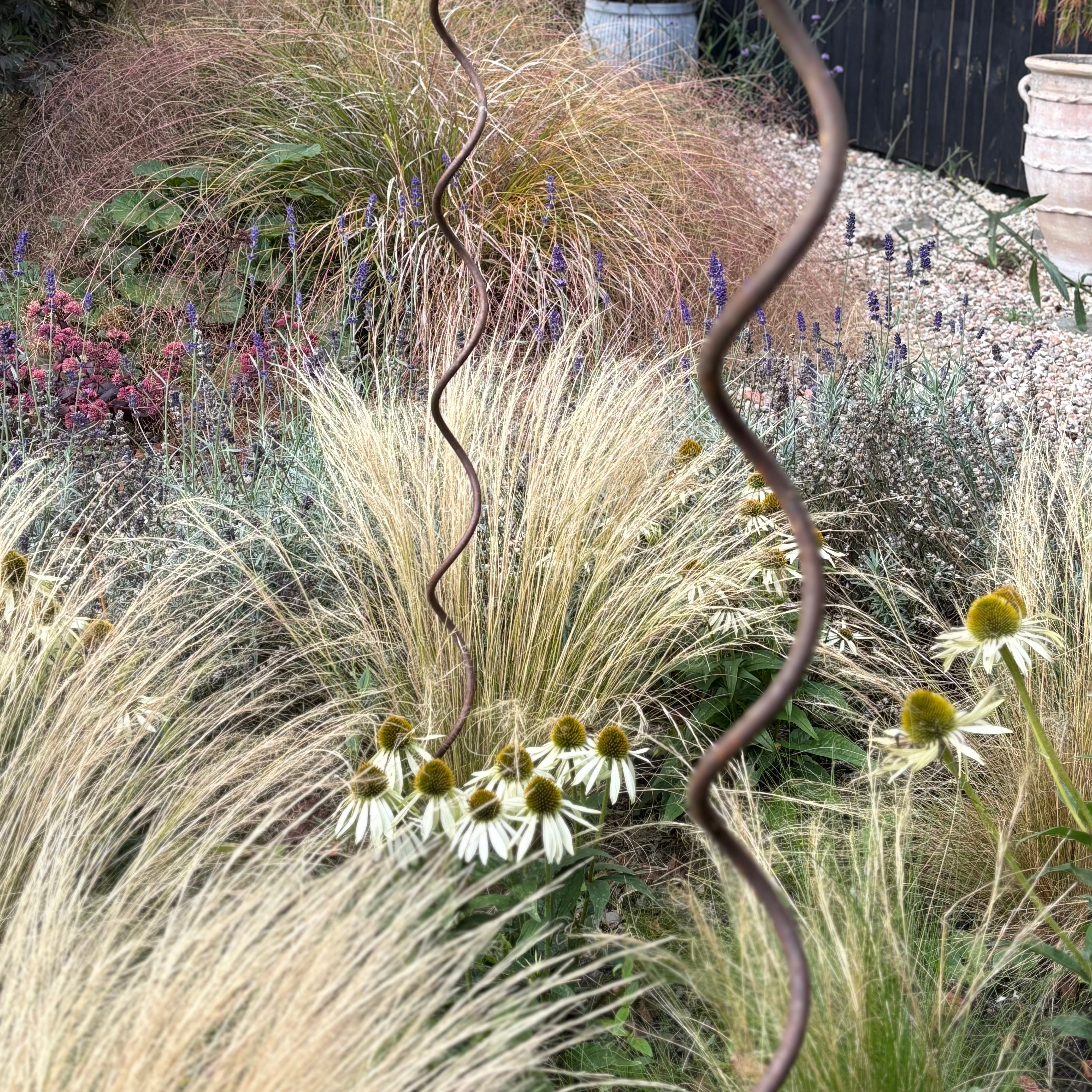 Spiral Climbing Plant Support