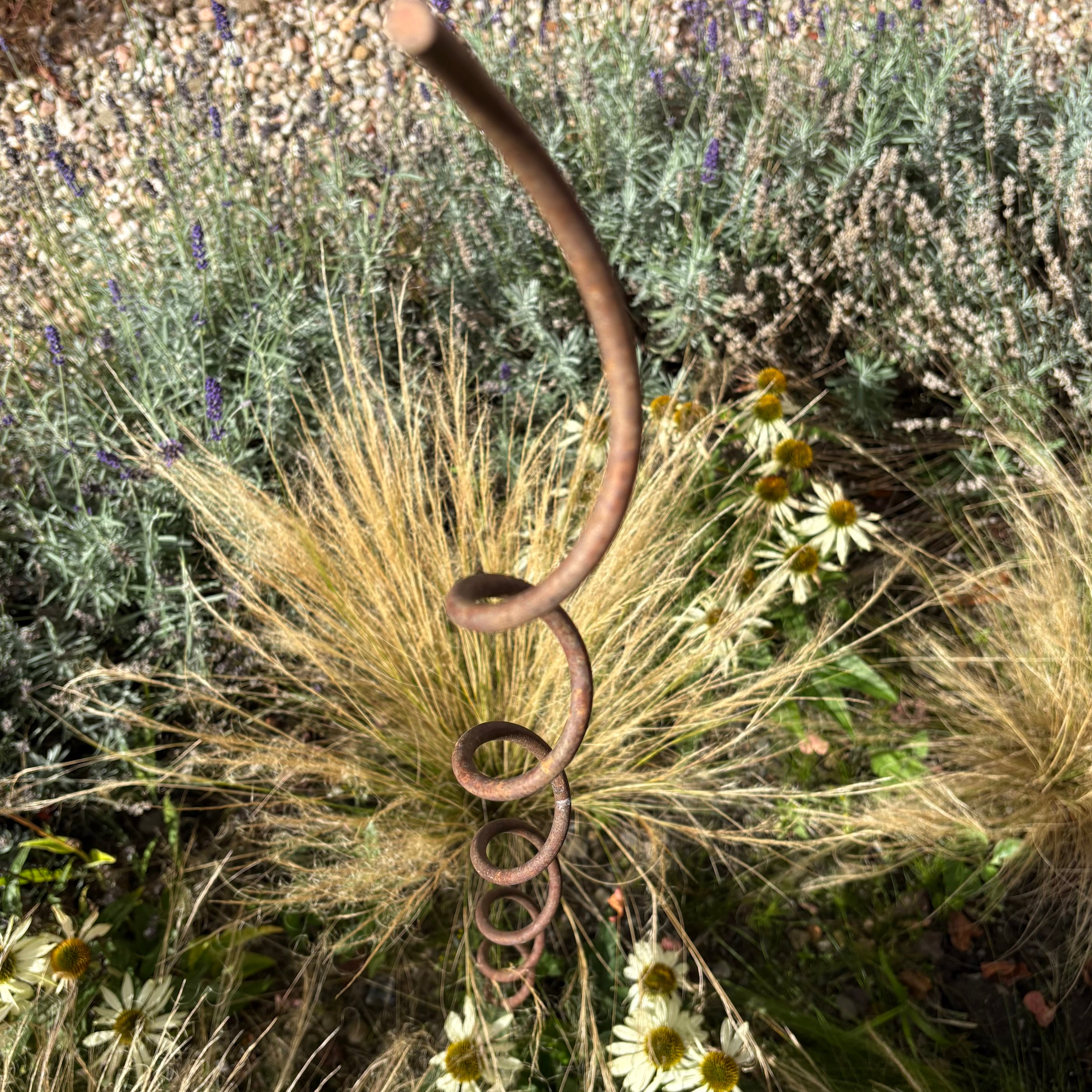 Spiral Climbing Plant Support