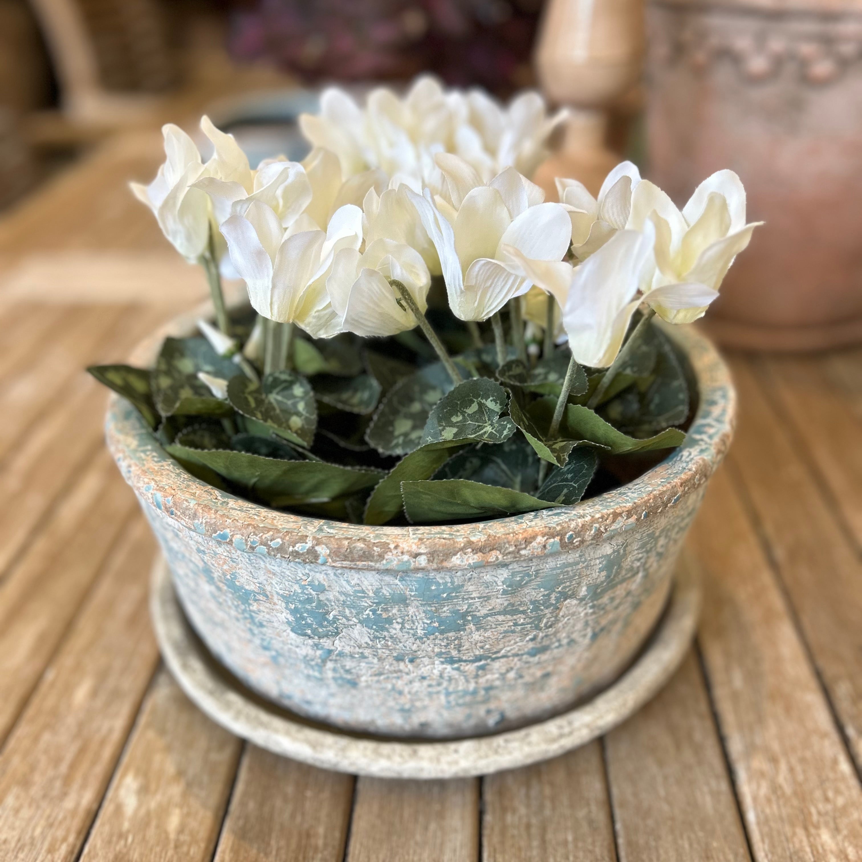 Craster Planter
