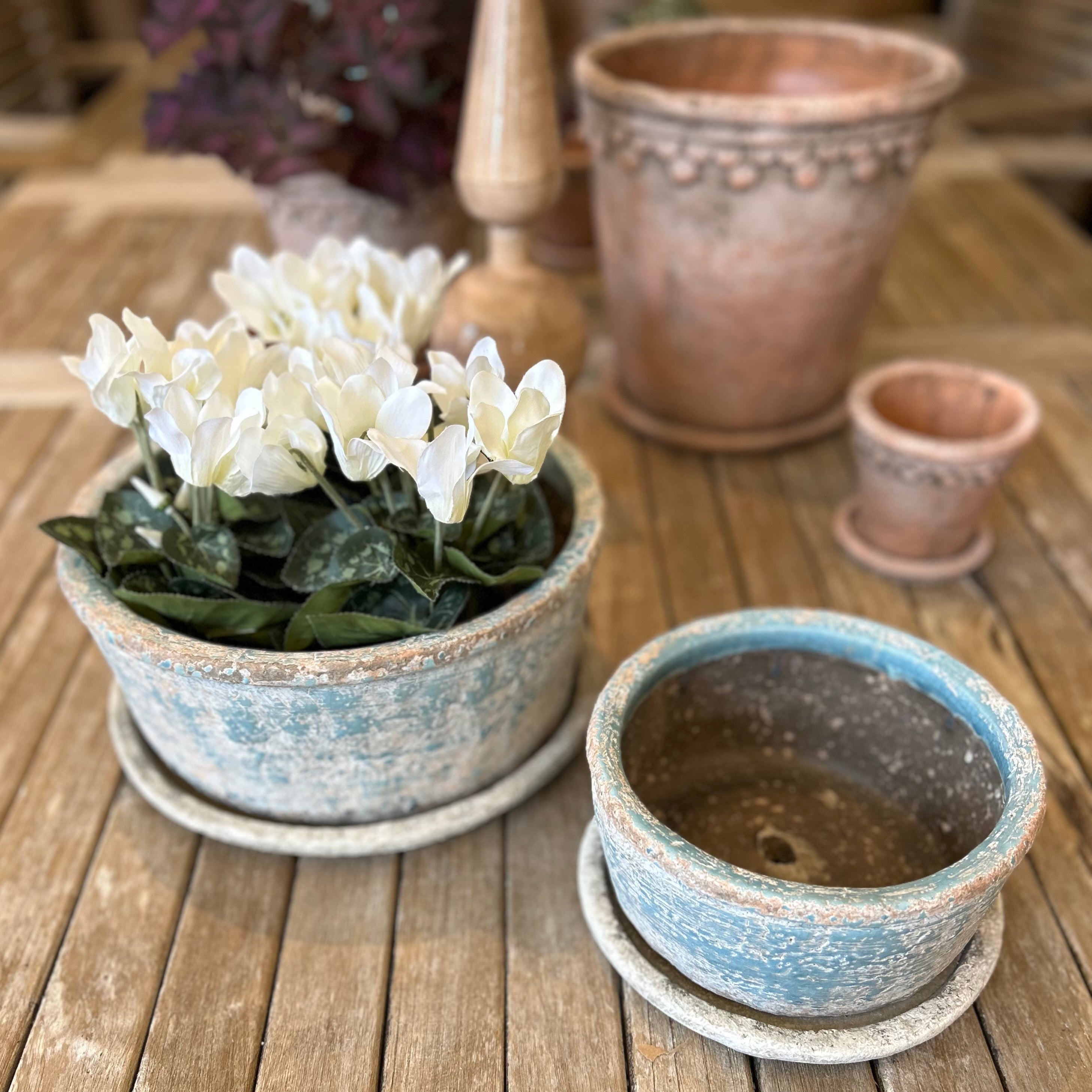 Craster Planter