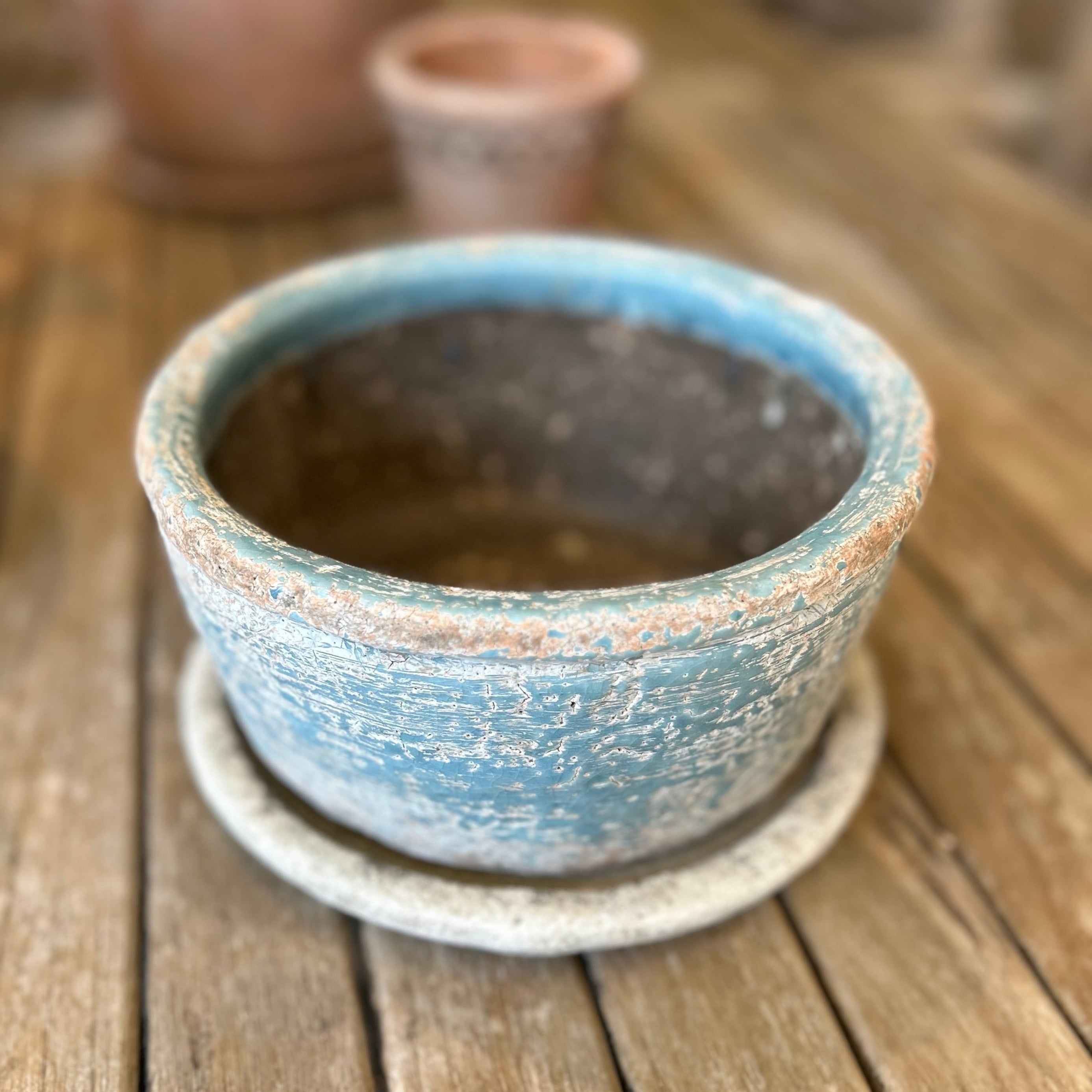 Craster Planter