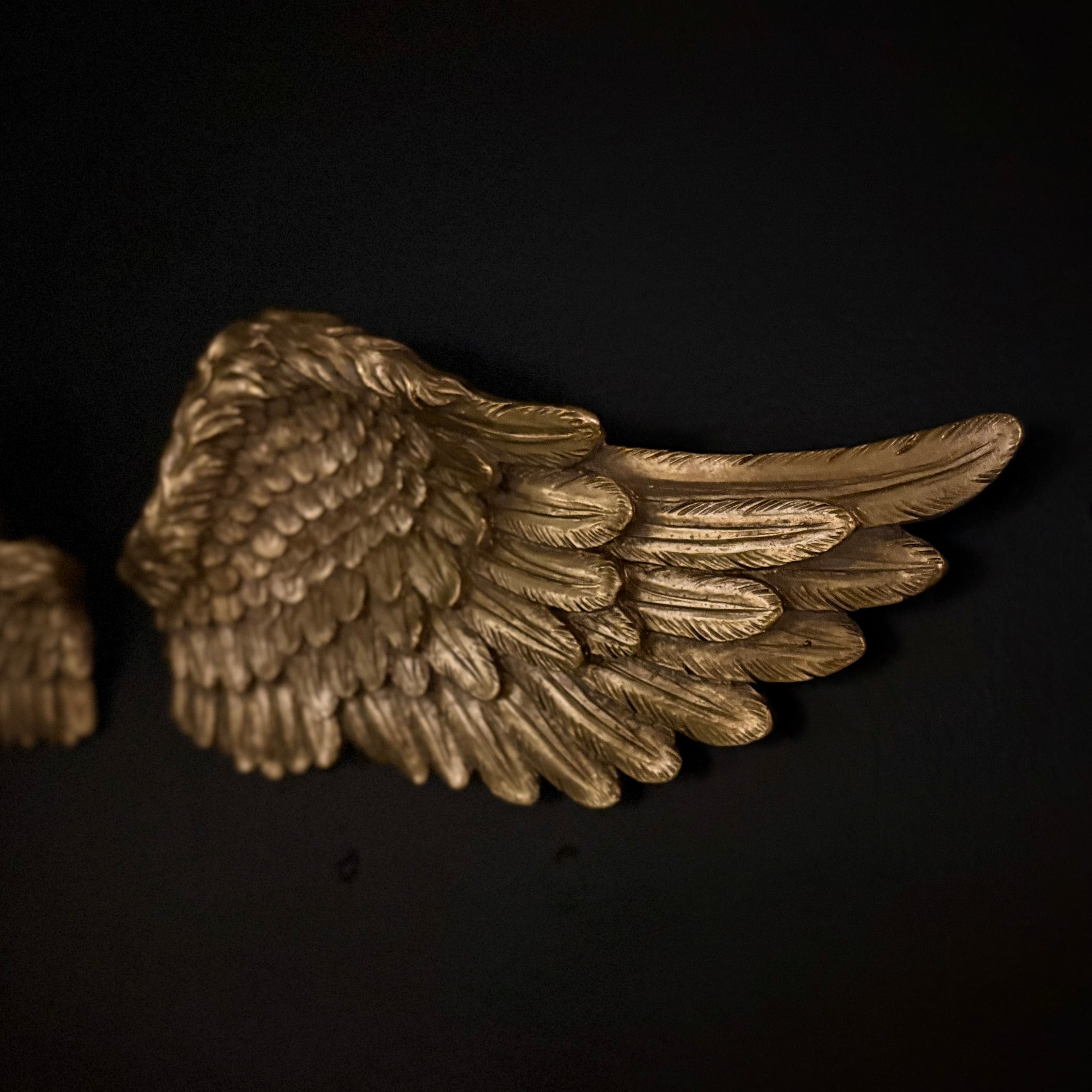 Set Of 2 Gold Angel Wings