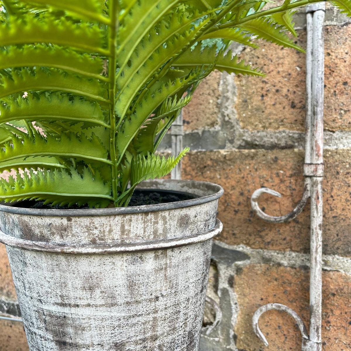 Tuscan Wall Mounted Planter