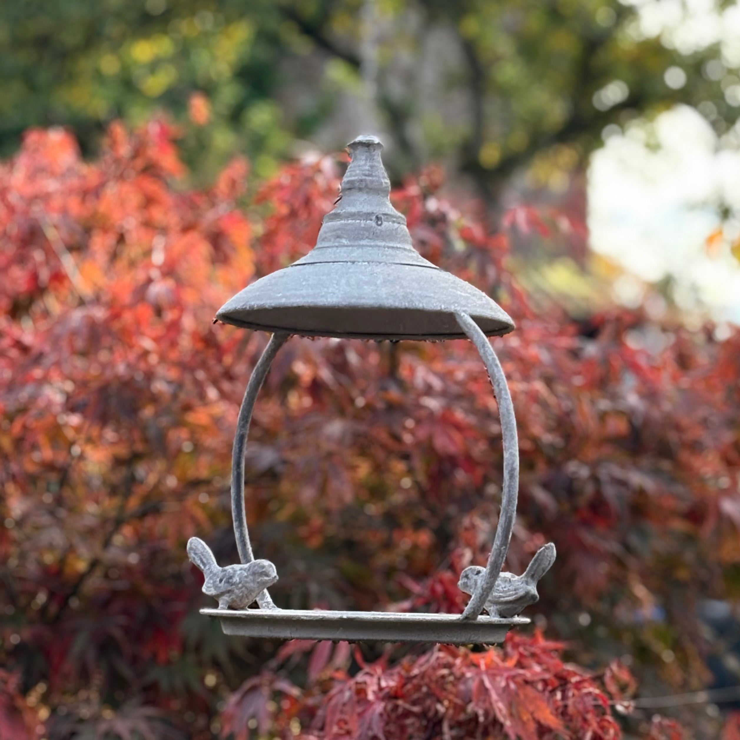 Hanging Bird Feeder