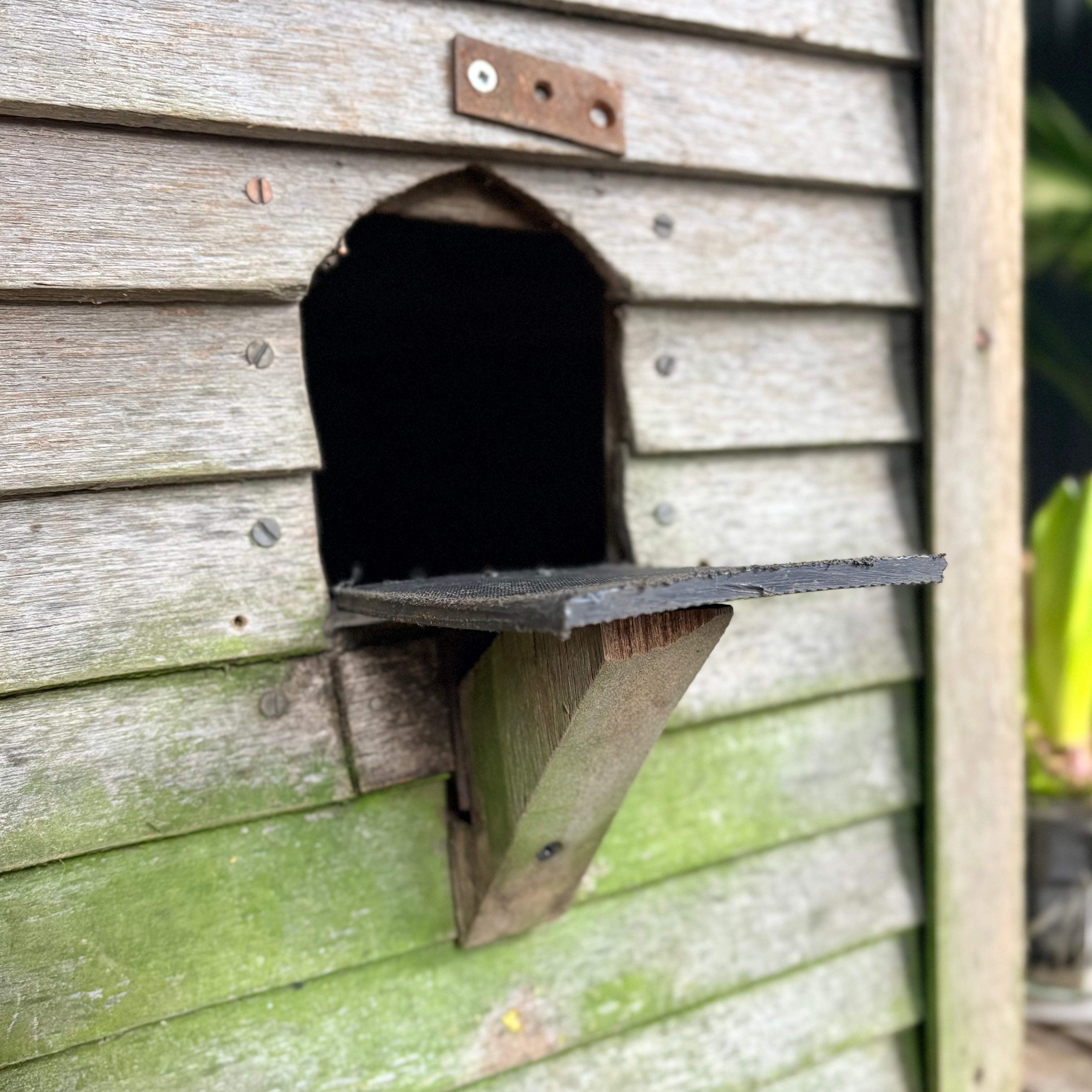 Teak Dovecote & Mounting Pole