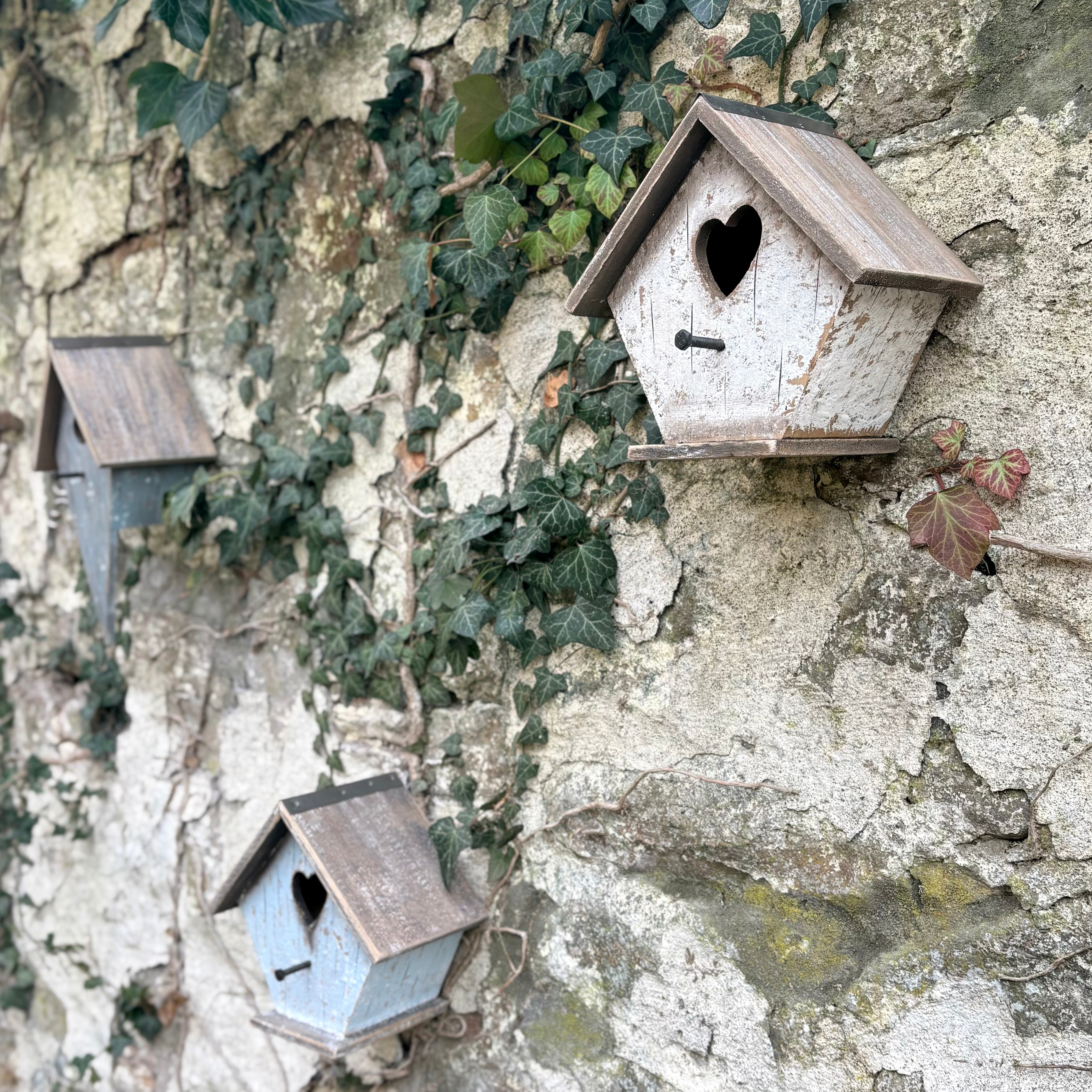 Lovebirds Birdhouse - White